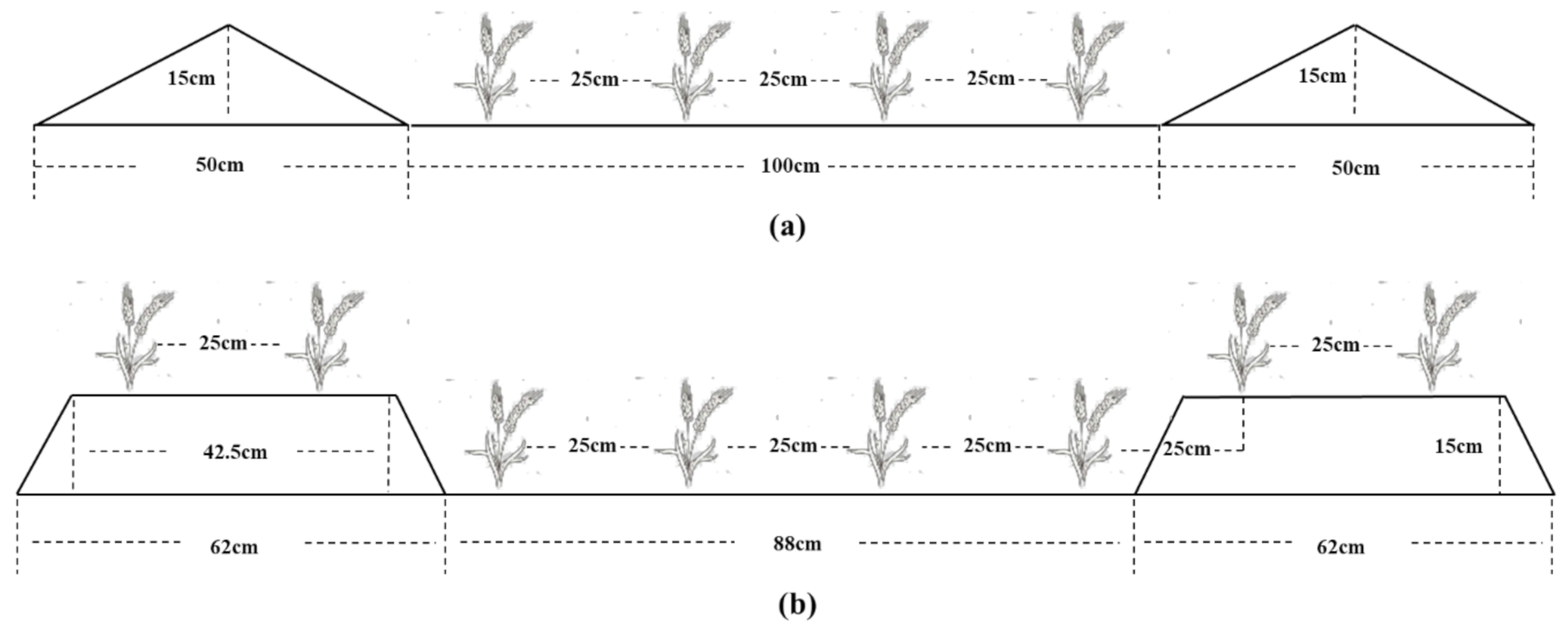 Agronomy 11 01378 g001a