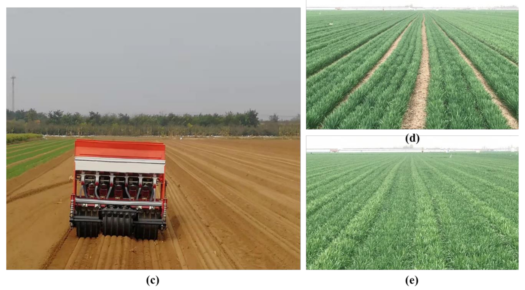 Agronomy 11 01378 g001b