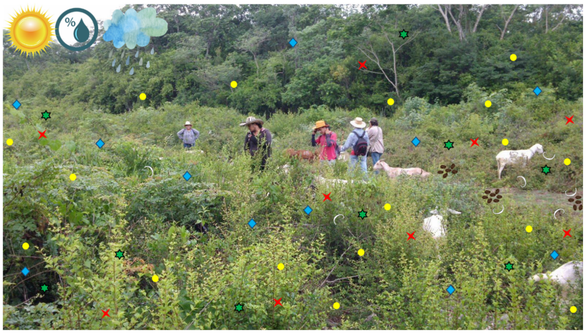 Agronomy 11 01403 g001