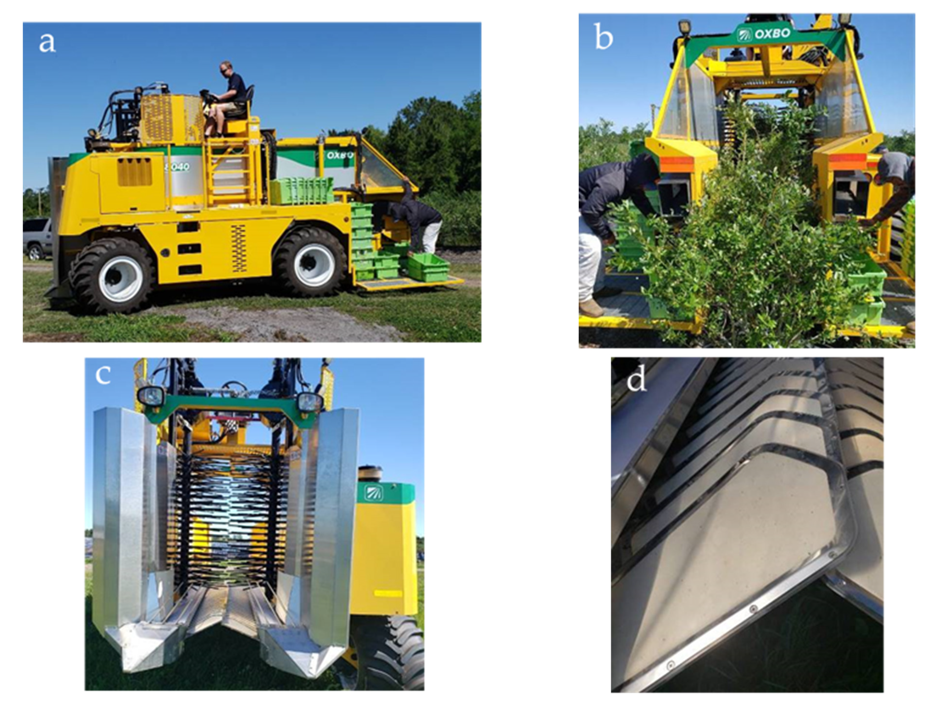 Agronomy 11 01412 g002