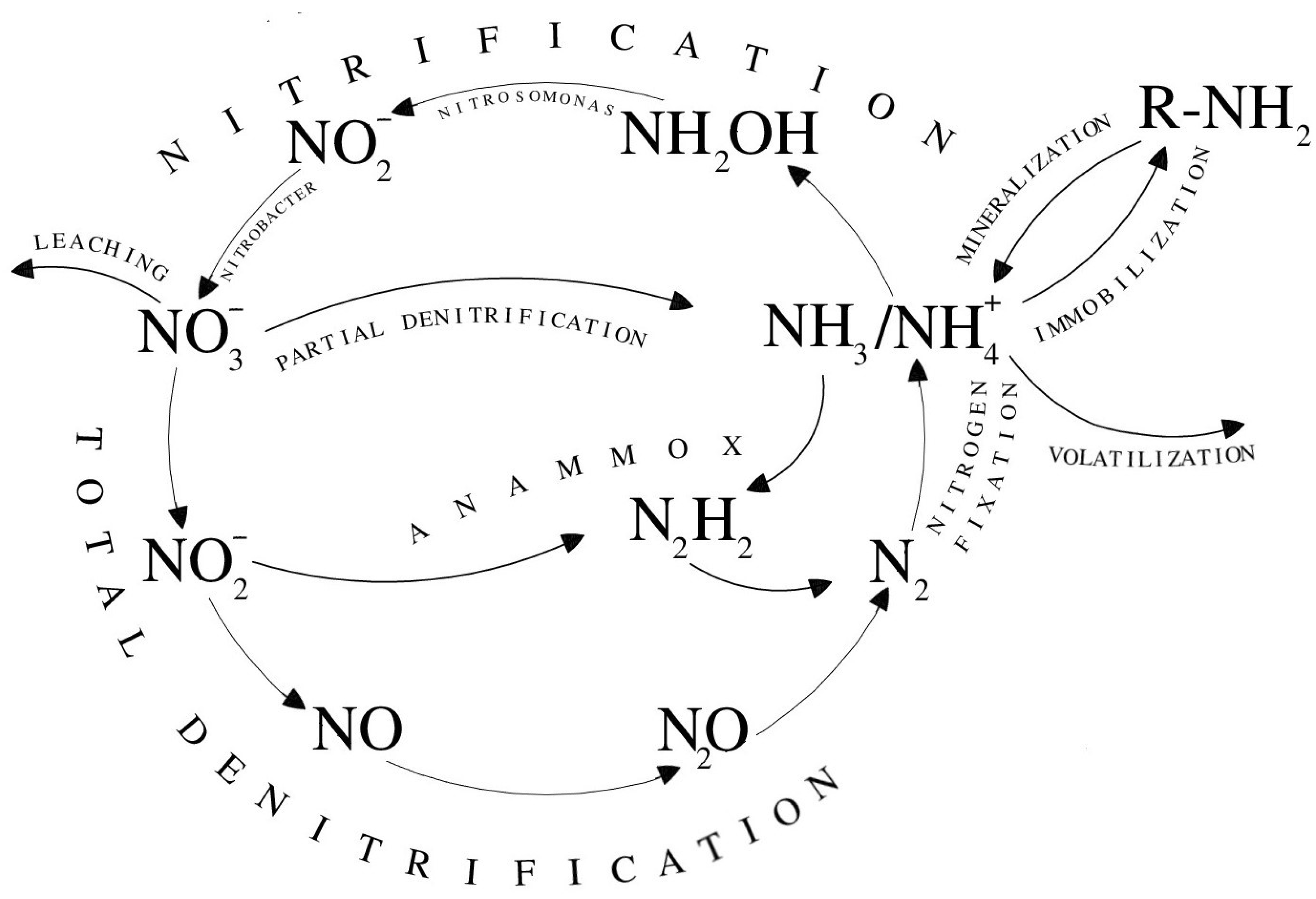 Agronomy 11 01415 g002