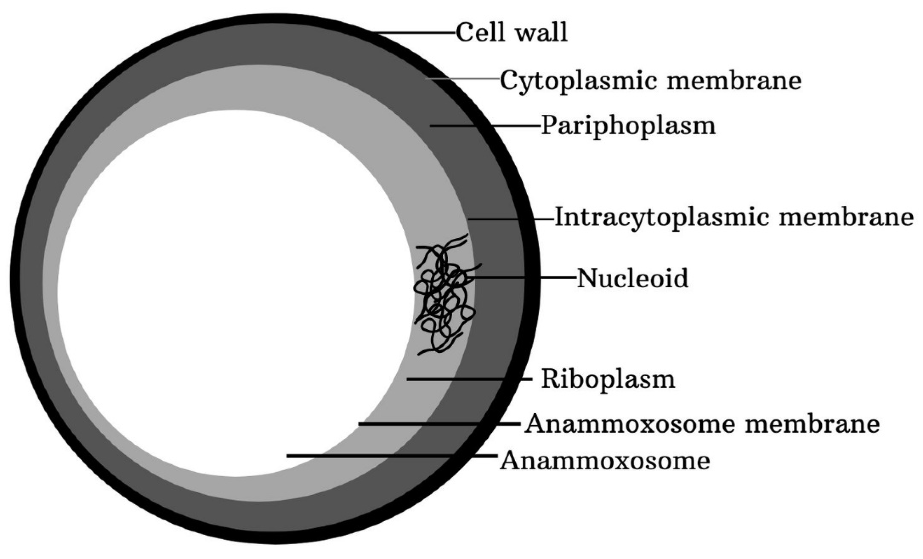 Agronomy 11 01415 g003