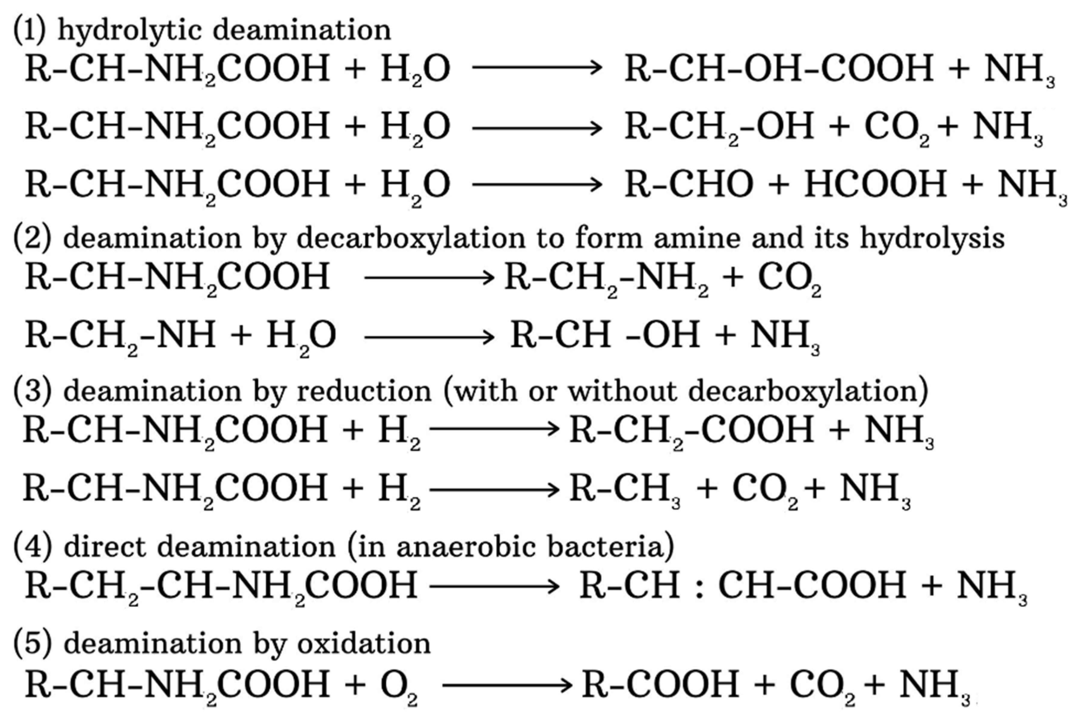 Agronomy 11 01415 sch001