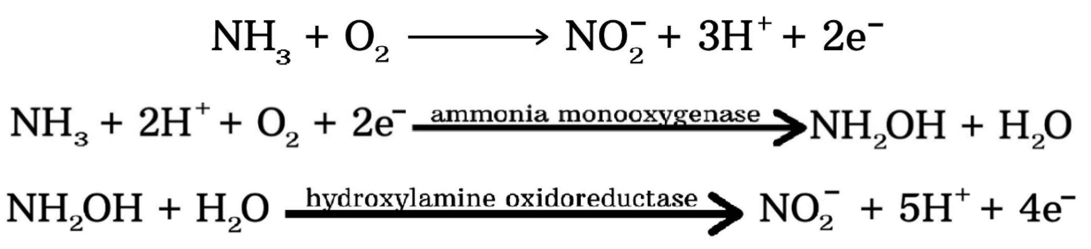 Agronomy 11 01415 sch002