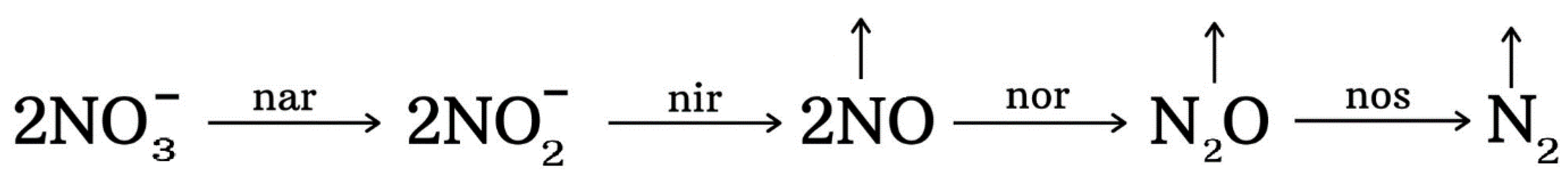 Agronomy 11 01415 sch005