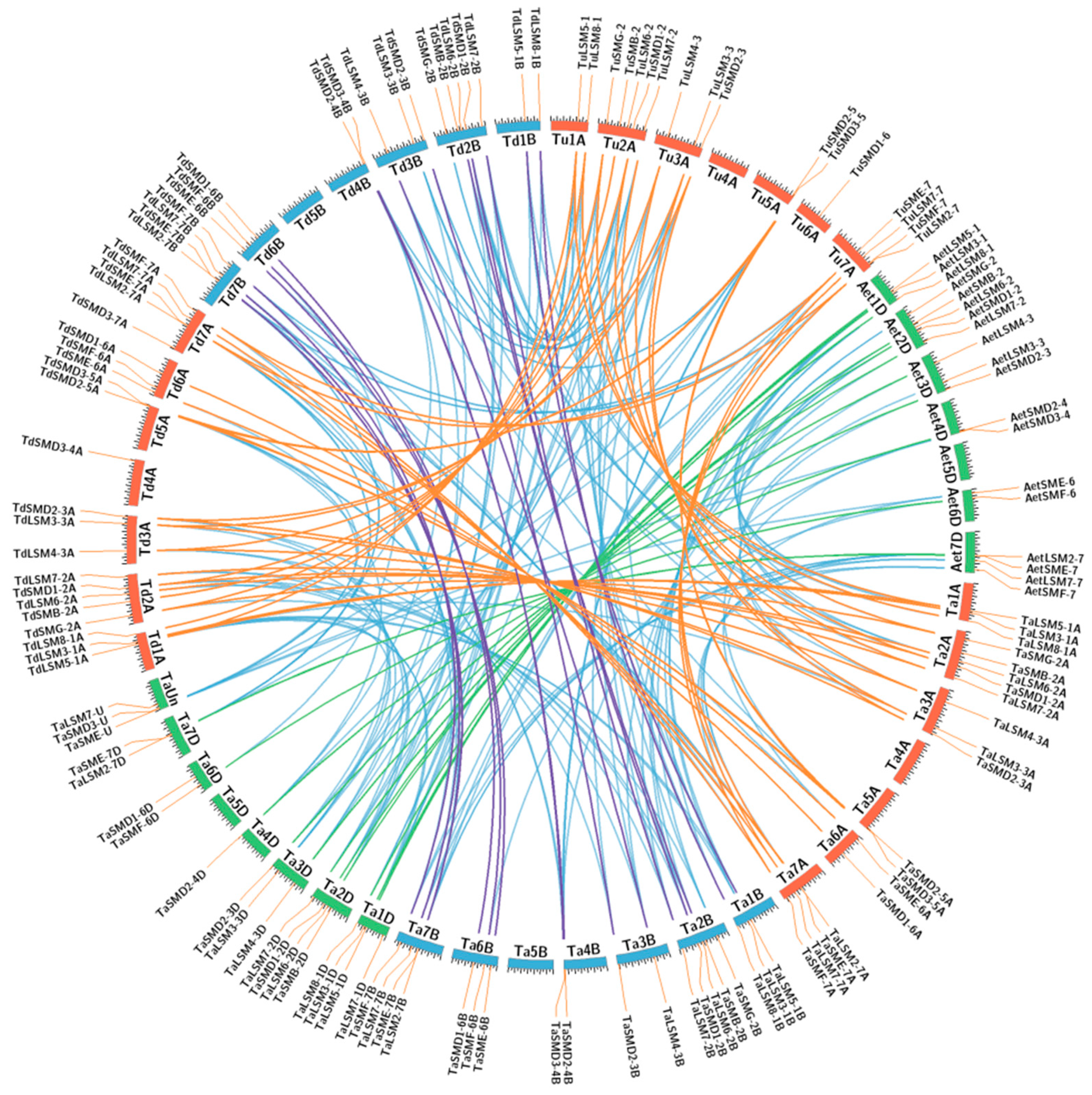 Agronomy 11 01429 g001