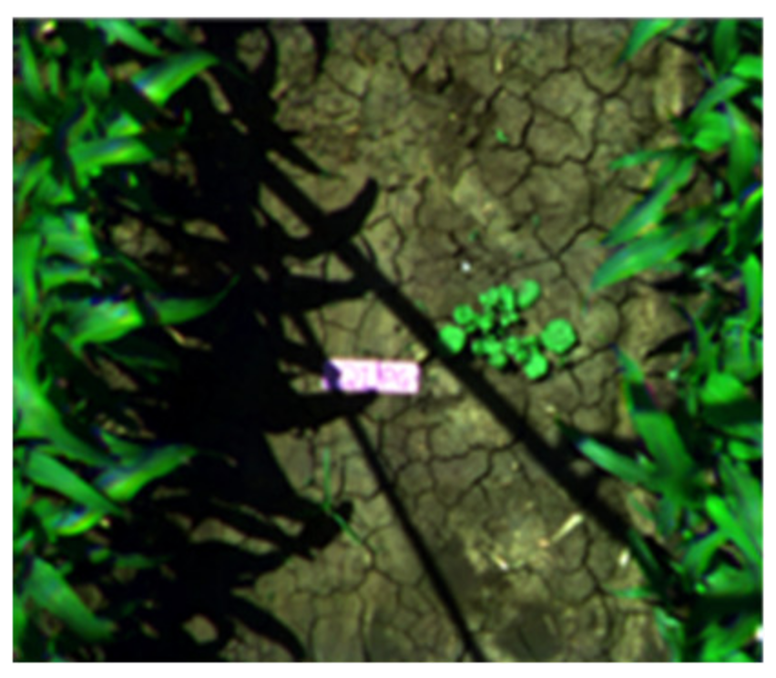 Agronomy 11 01435 i004 Agronomy 11 01435 i004