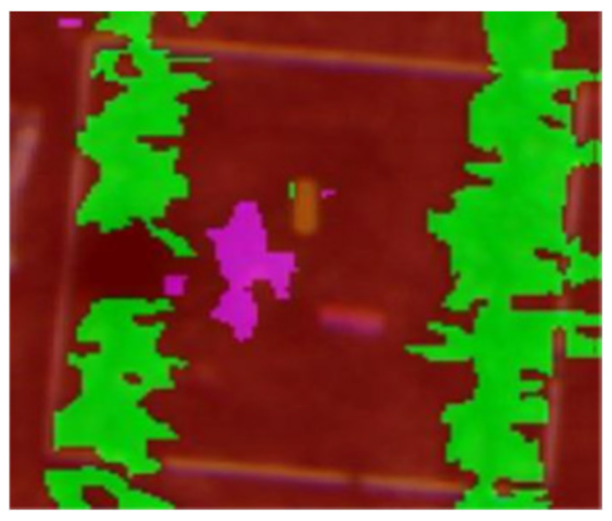 Agronomy 11 01435 i011 Agronomy 11 01435 i011