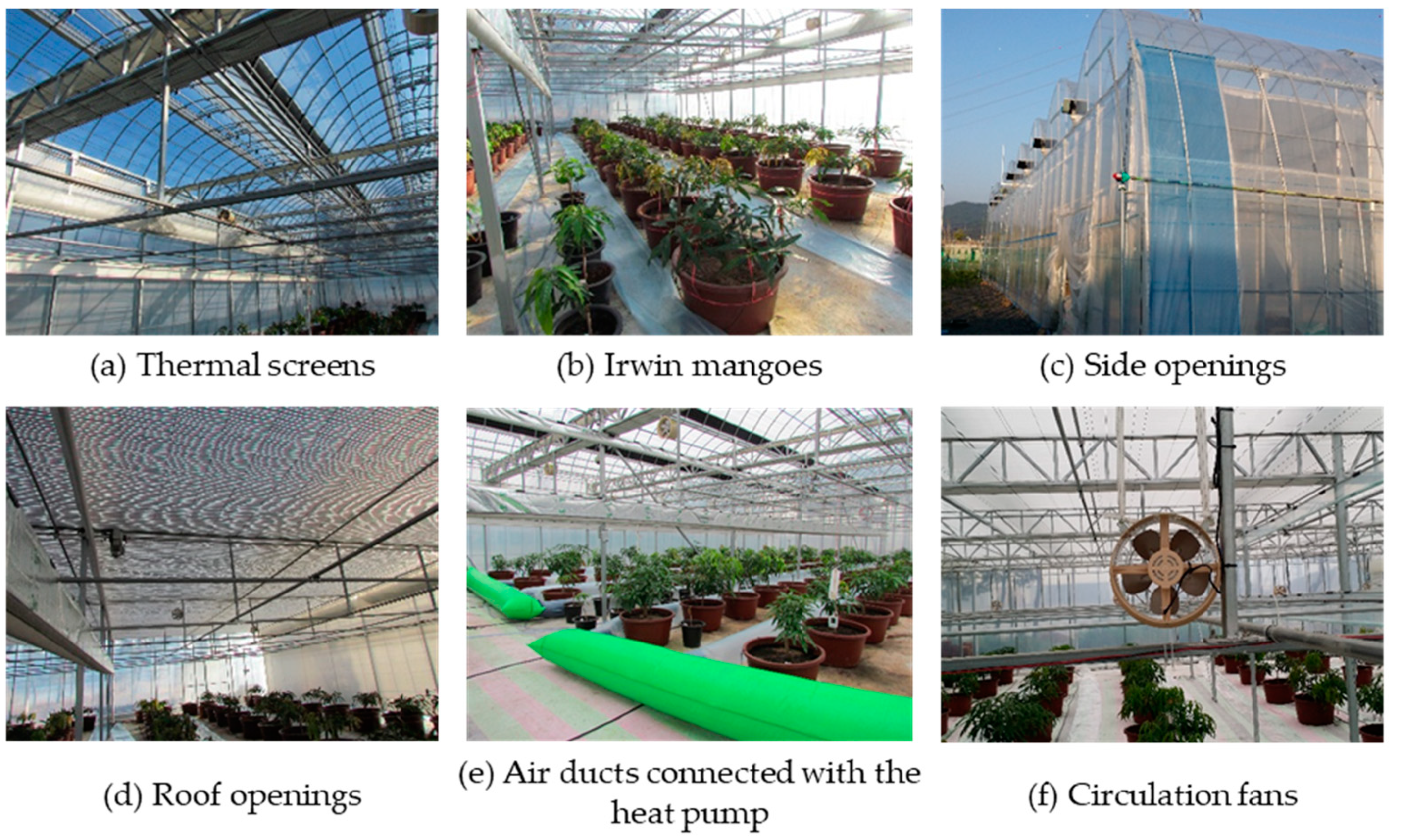 Agronomy 11 01461 g004