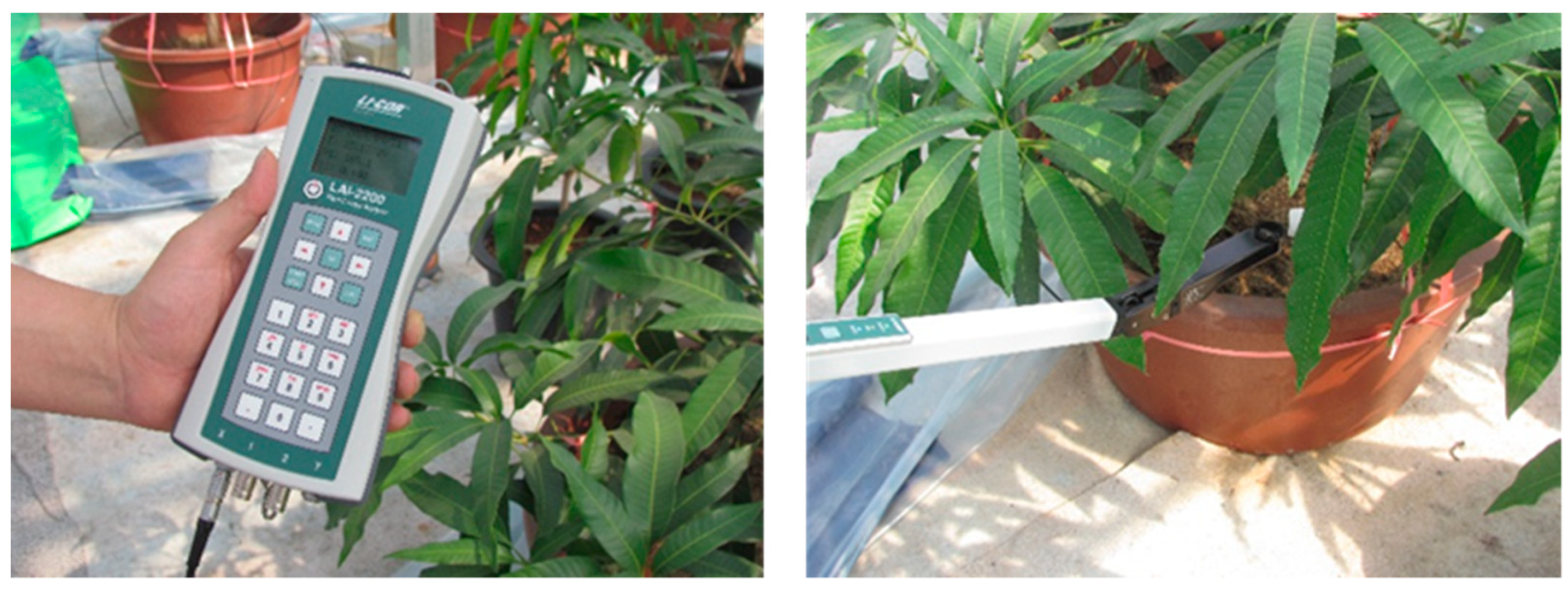 Agronomy 11 01461 g007