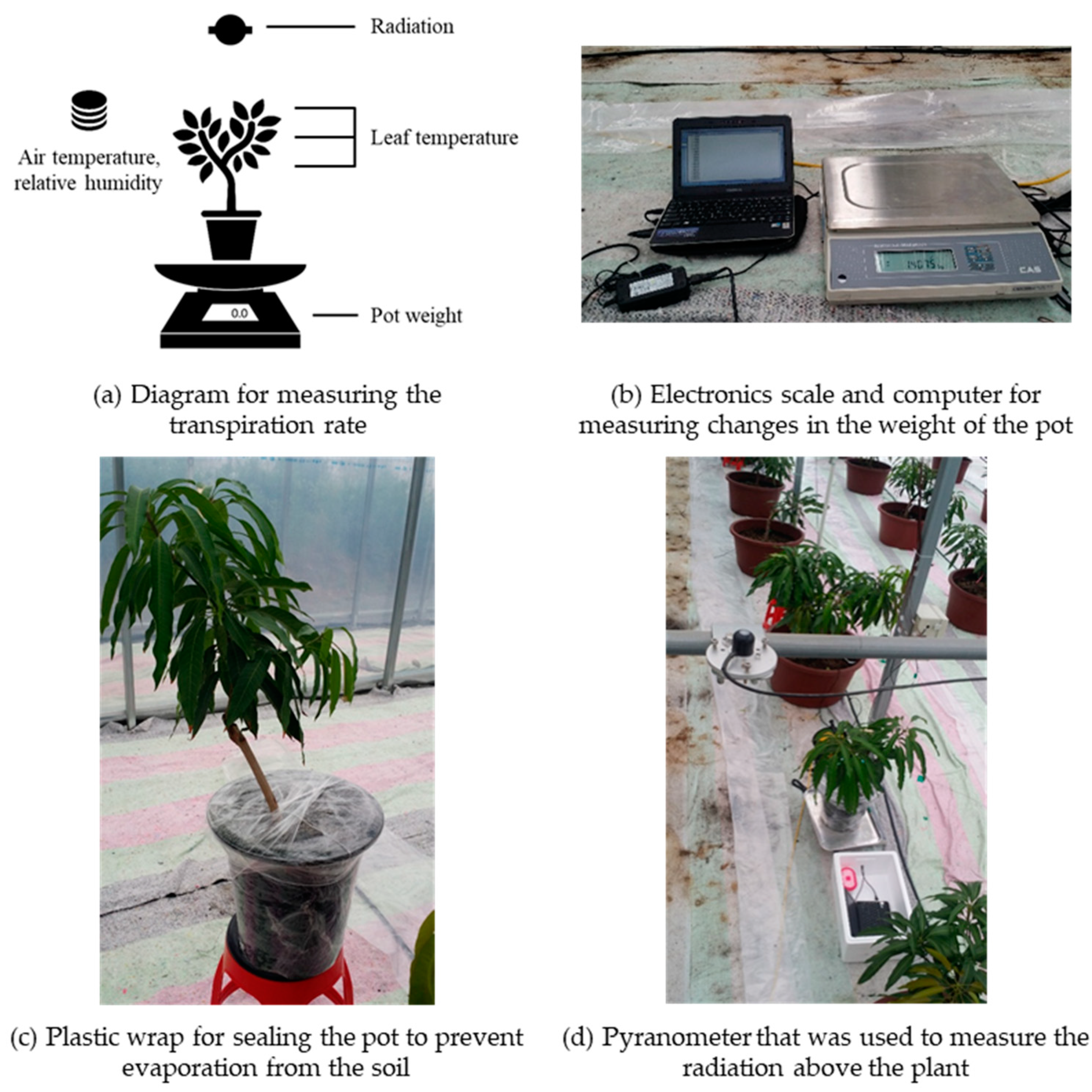 Agronomy 11 01461 g008