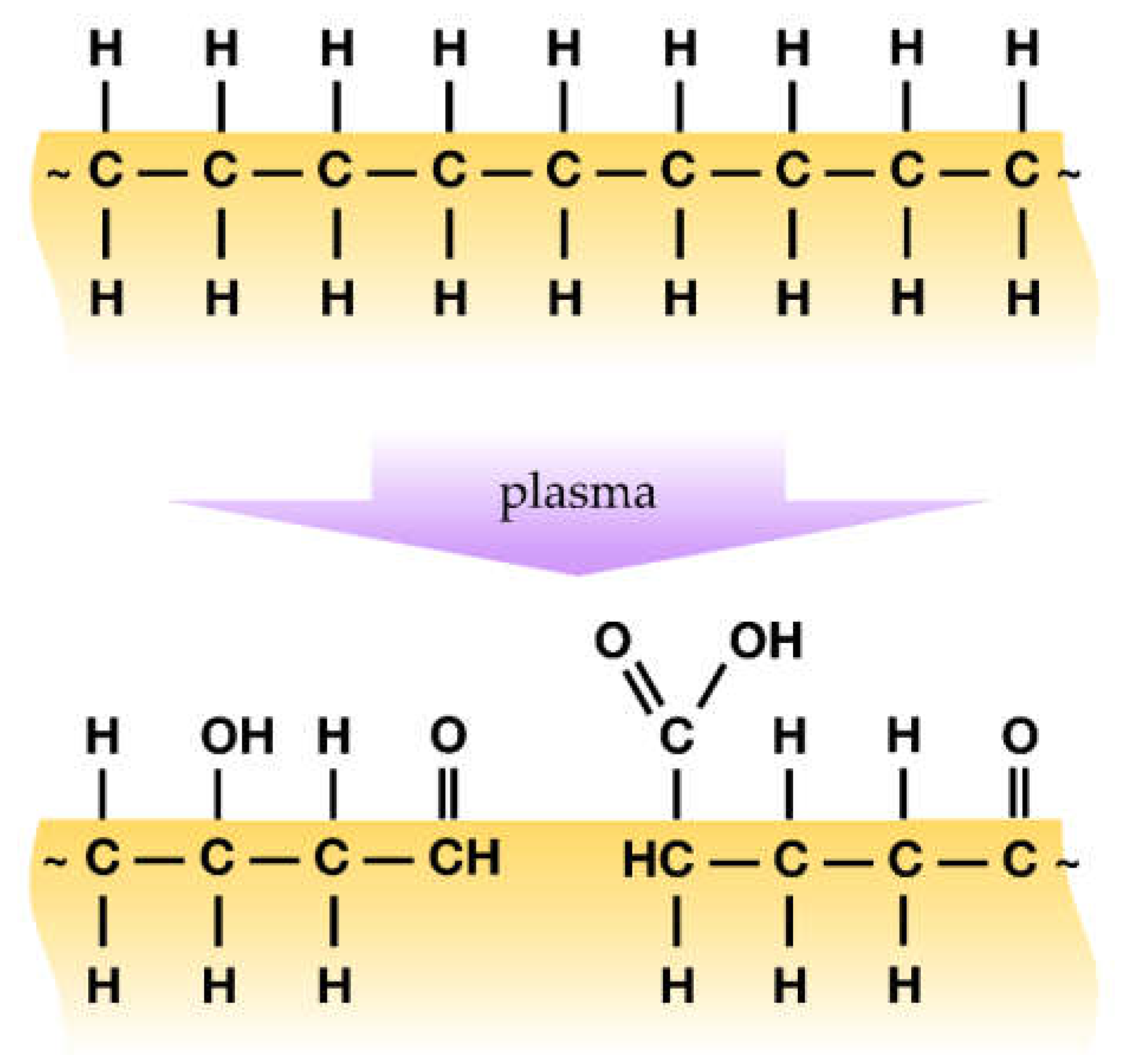Agronomy 11 01467 g002