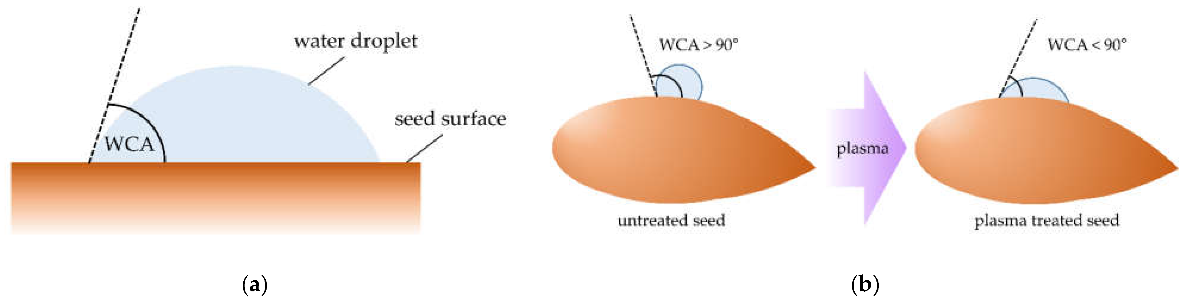 Agronomy 11 01467 g003