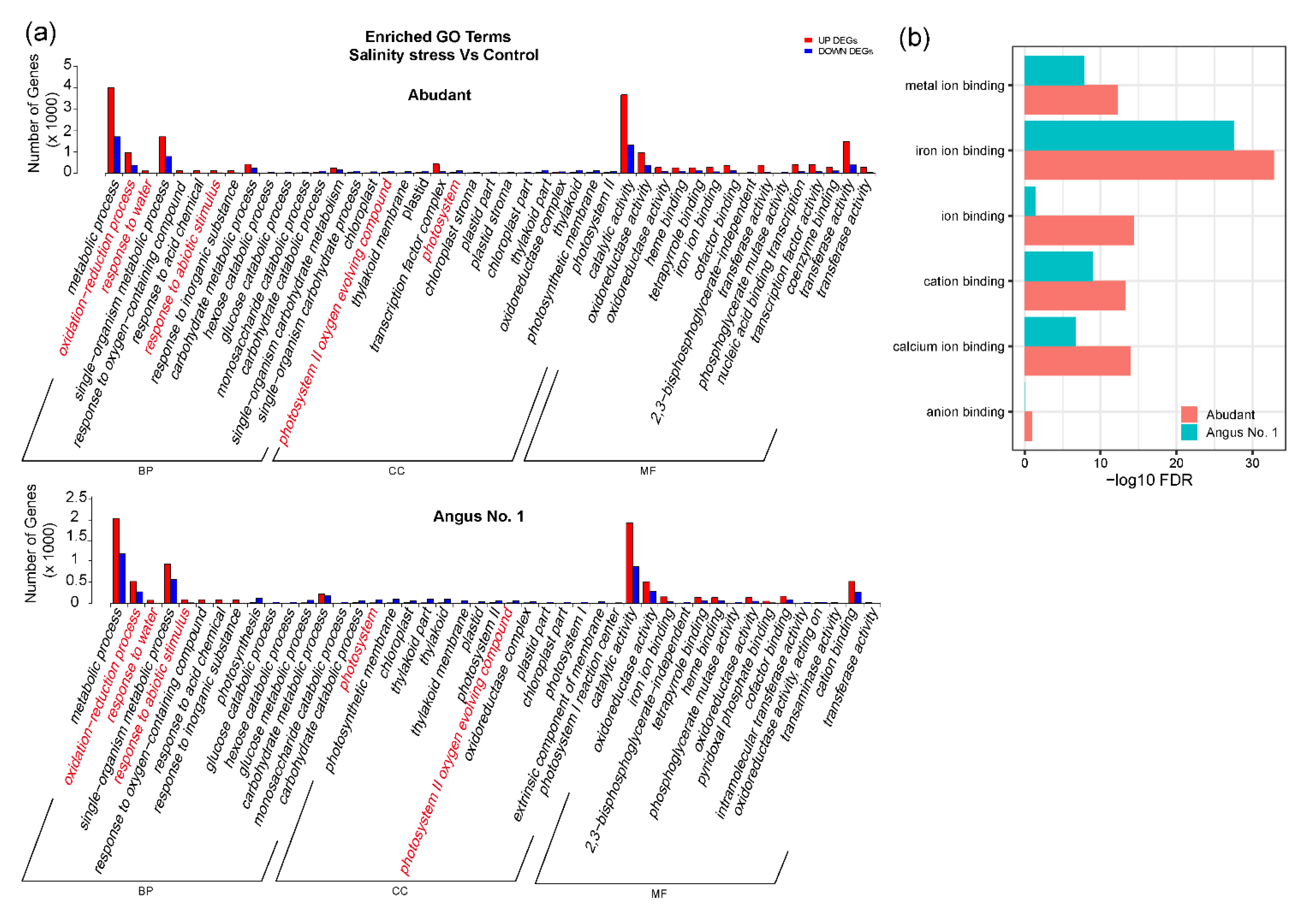 Agronomy 11 01487 g006