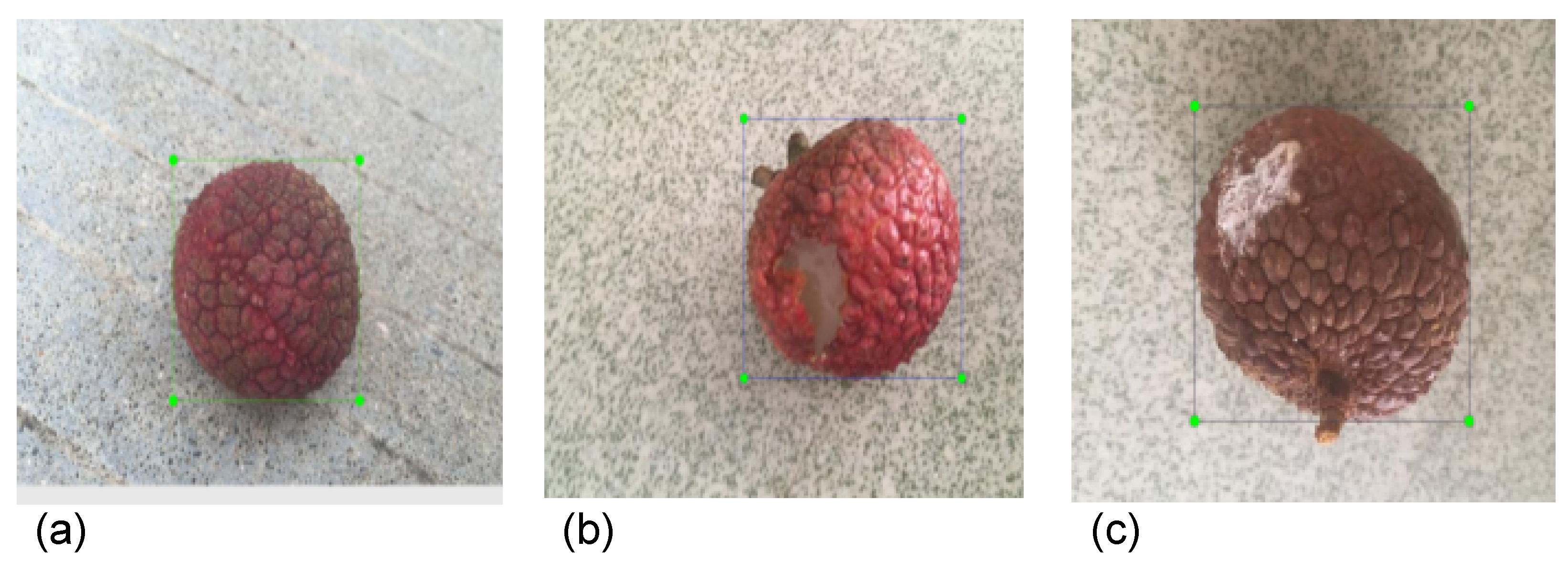 Agronomy 11 01500 g001