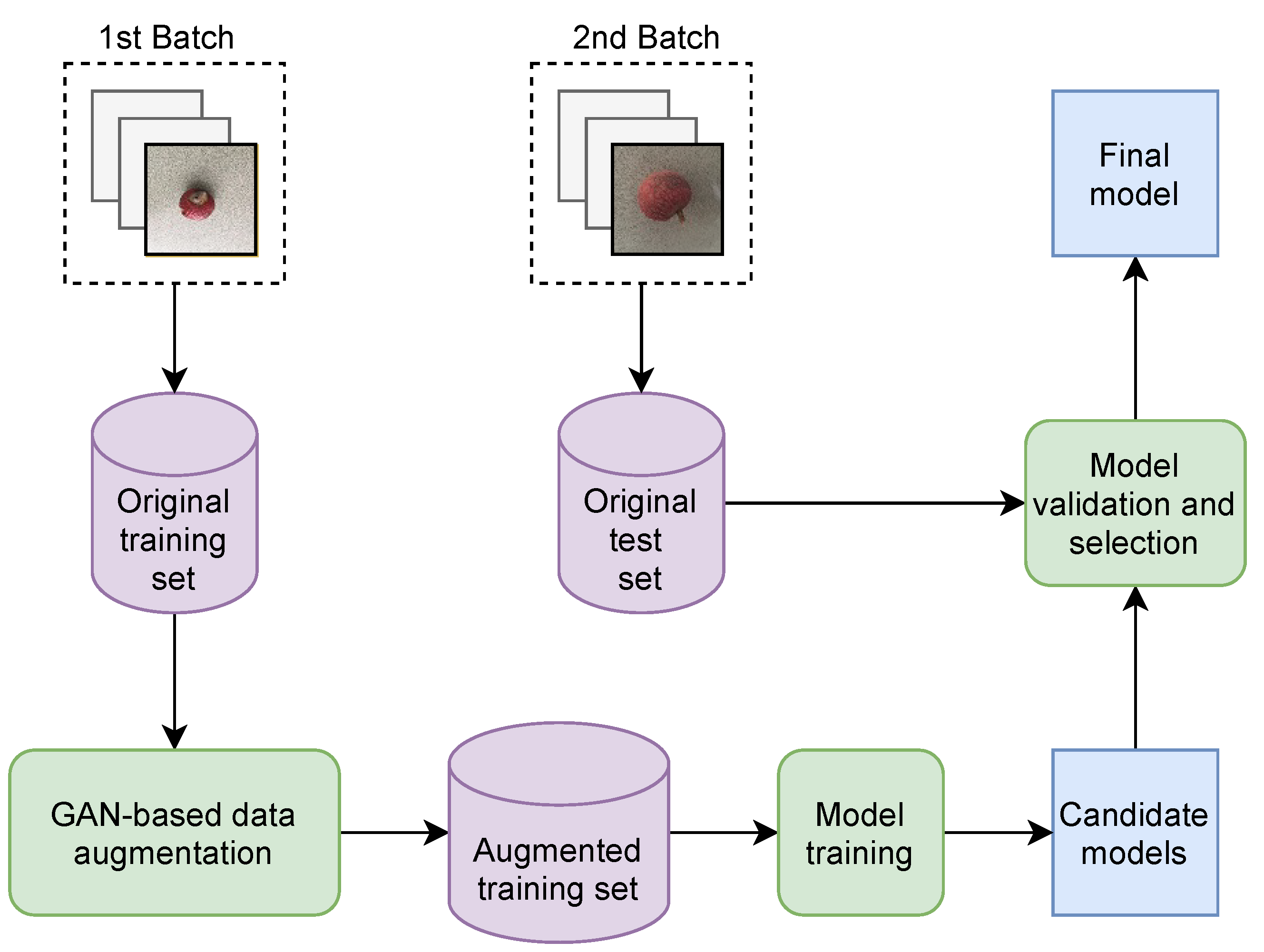 Agronomy 11 01500 g002