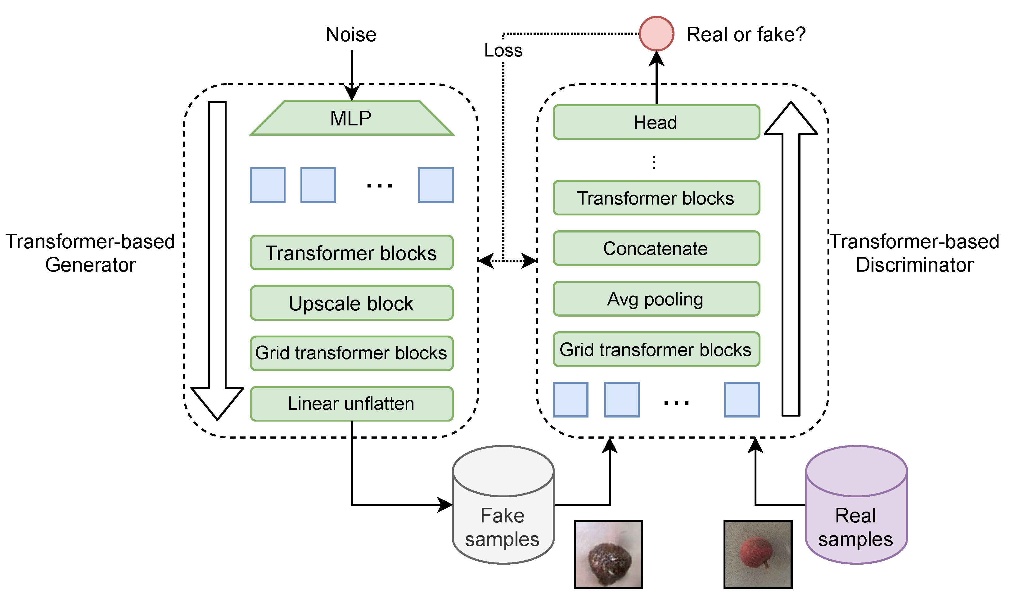 Agronomy 11 01500 g003