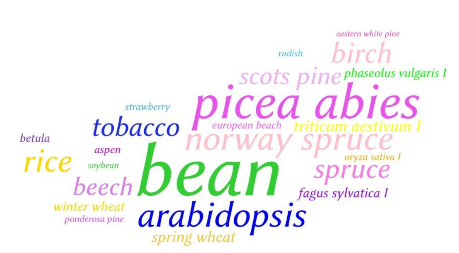 Agronomy 11 01504 g007 Agronomy 11 01504 g007