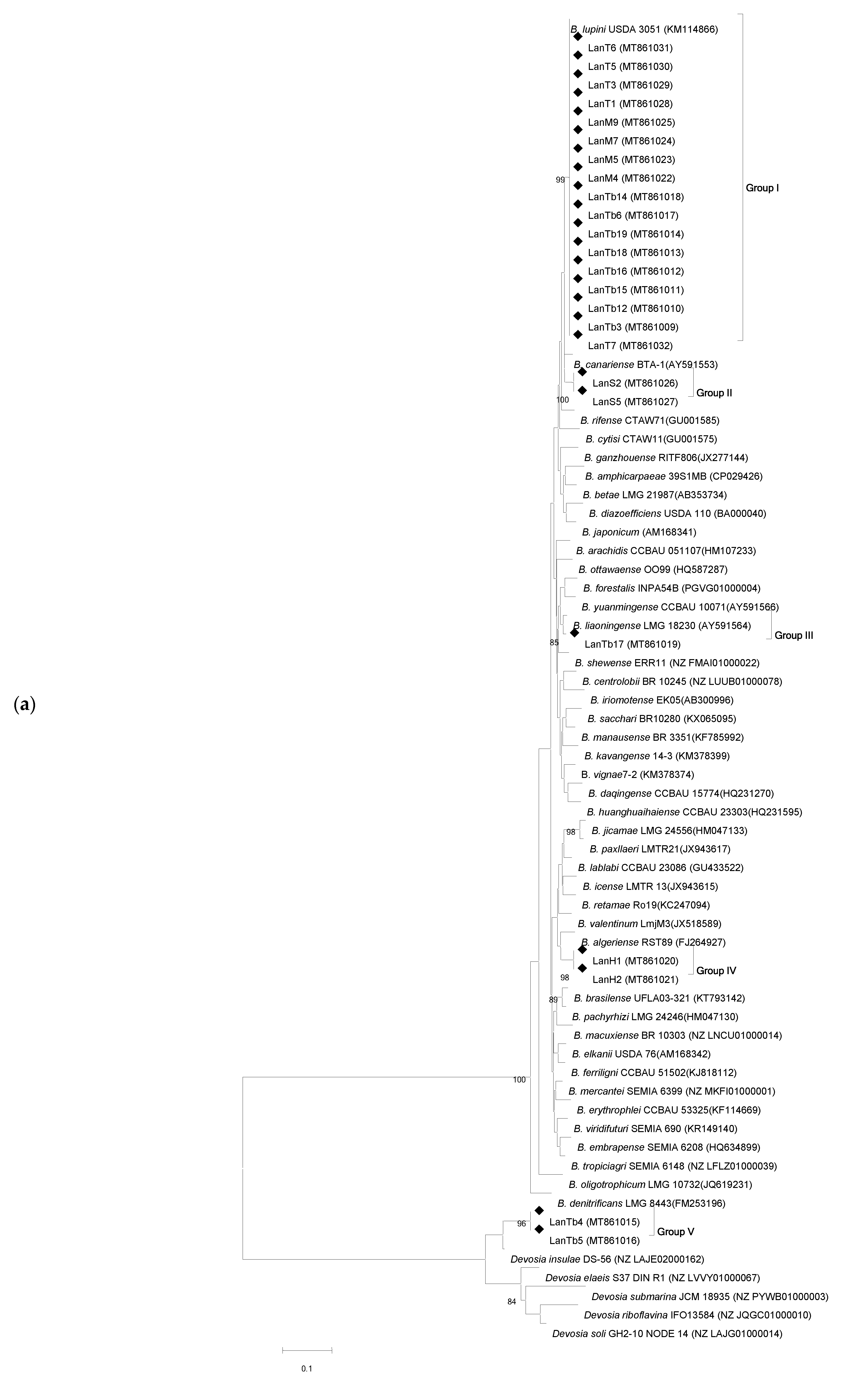 Agronomy 11 01510 g001a