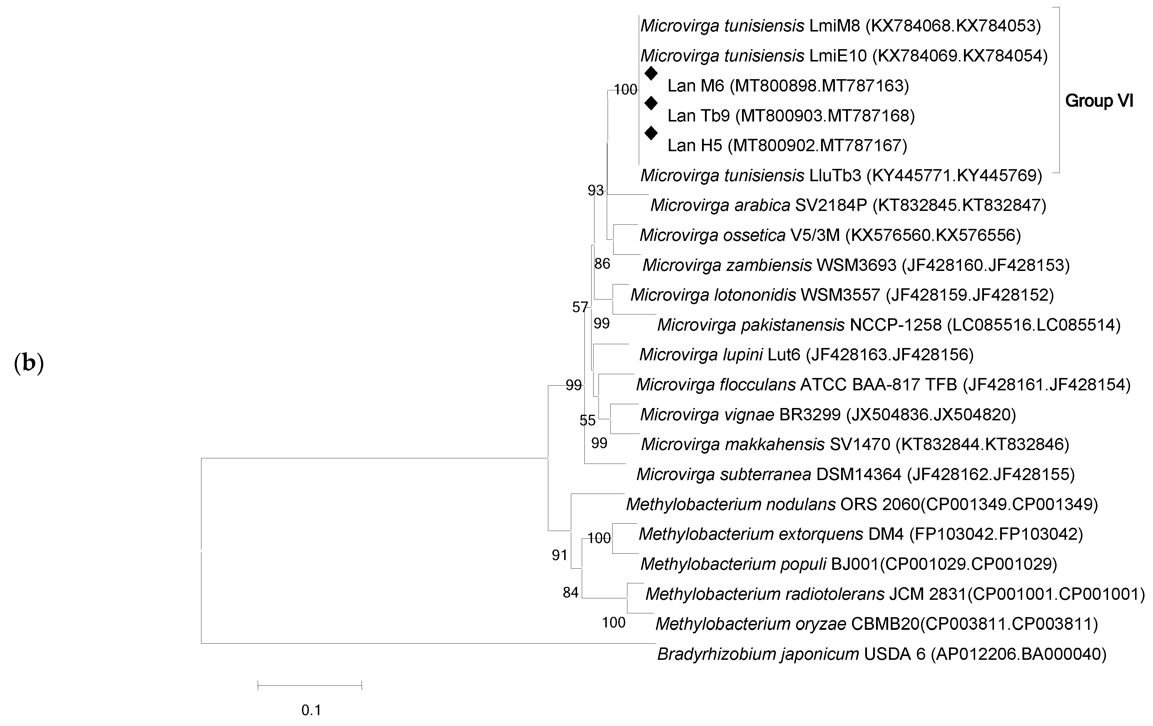 Agronomy 11 01510 g002b