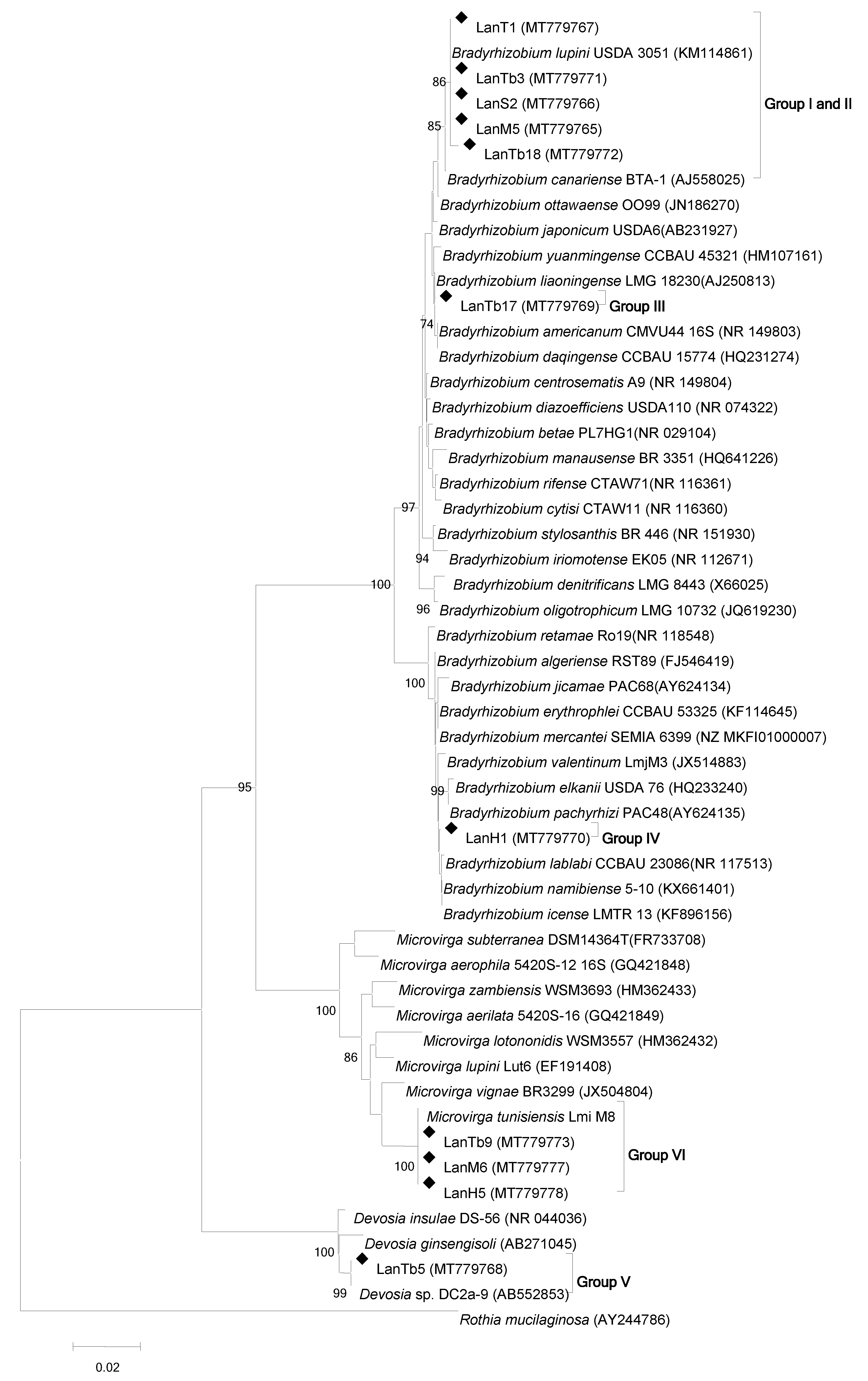 Agronomy 11 01510 g003