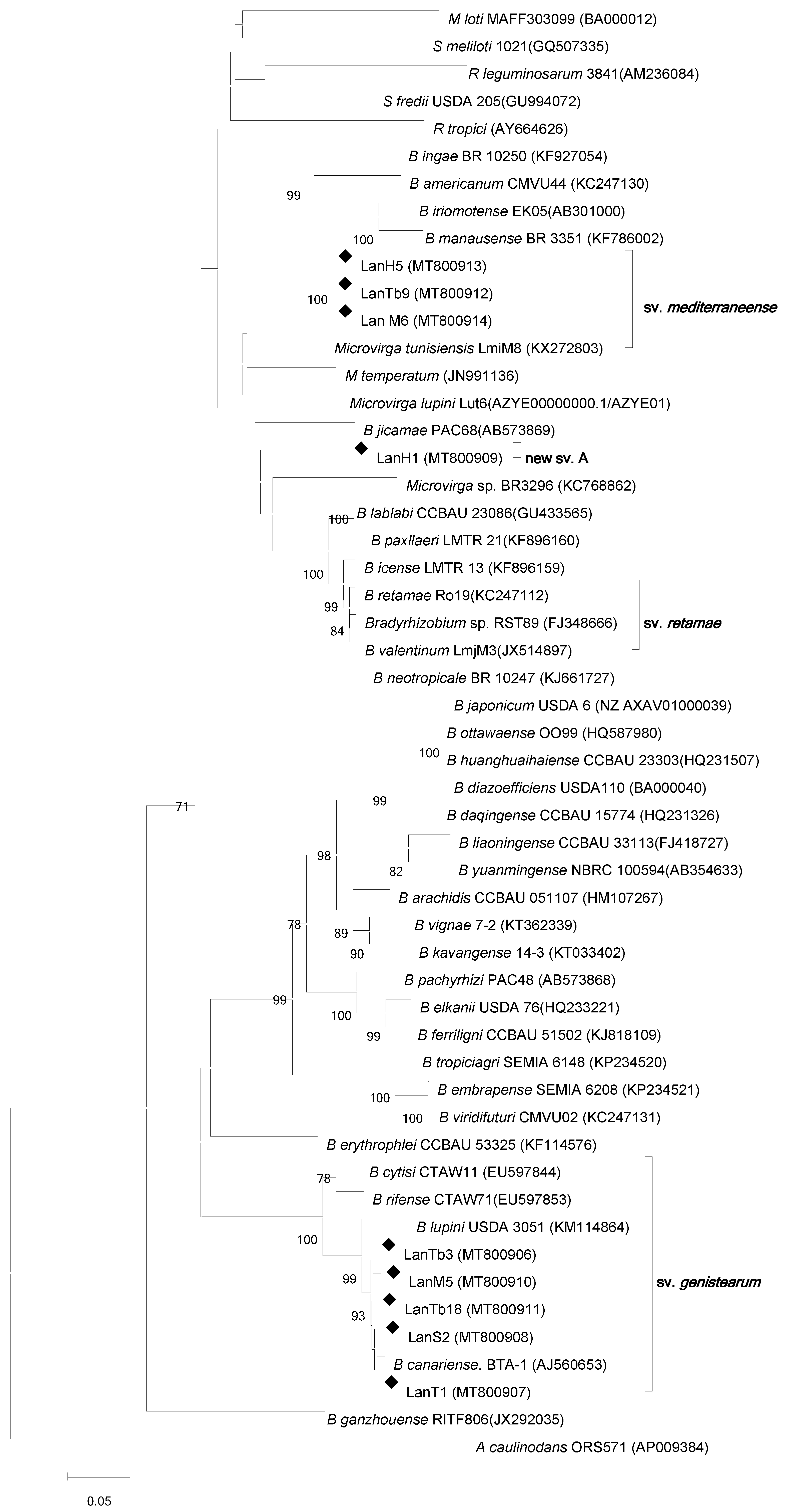 Agronomy 11 01510 g004