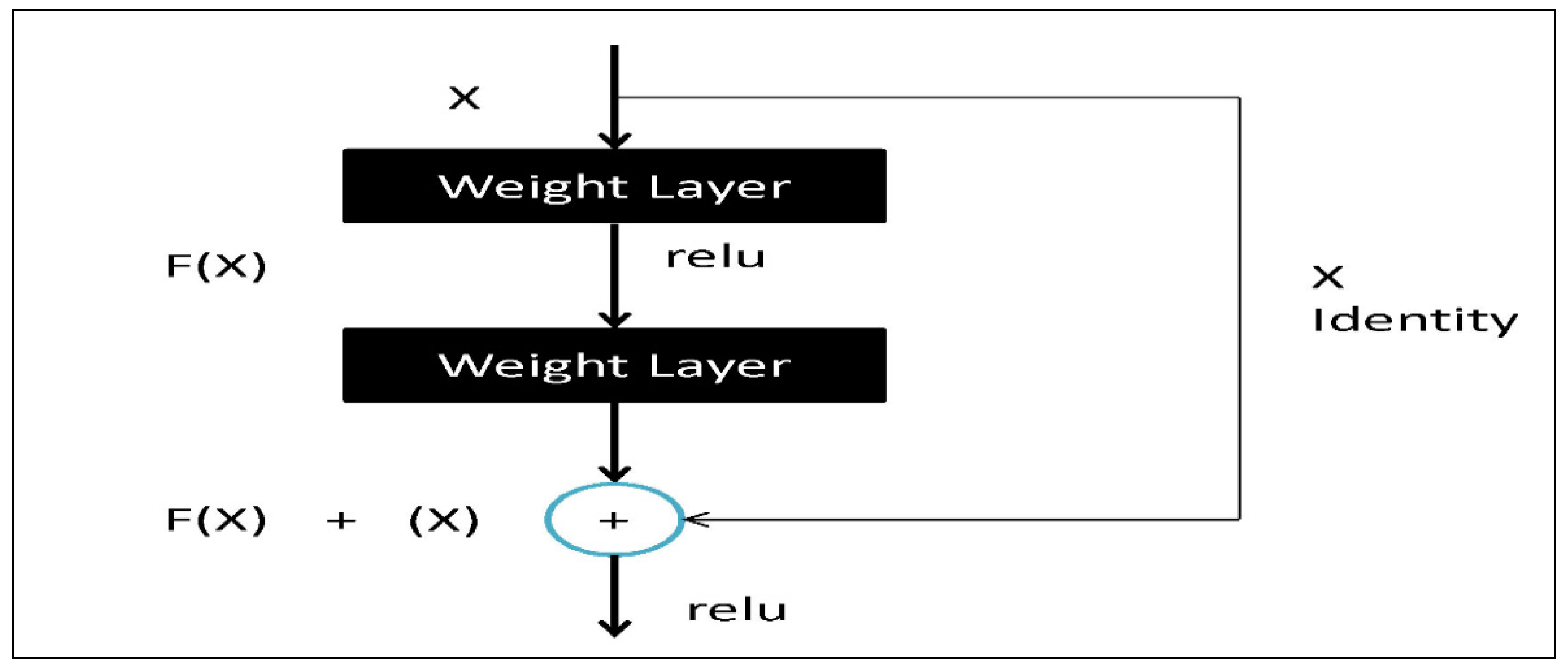Agronomy 11 01551 g002