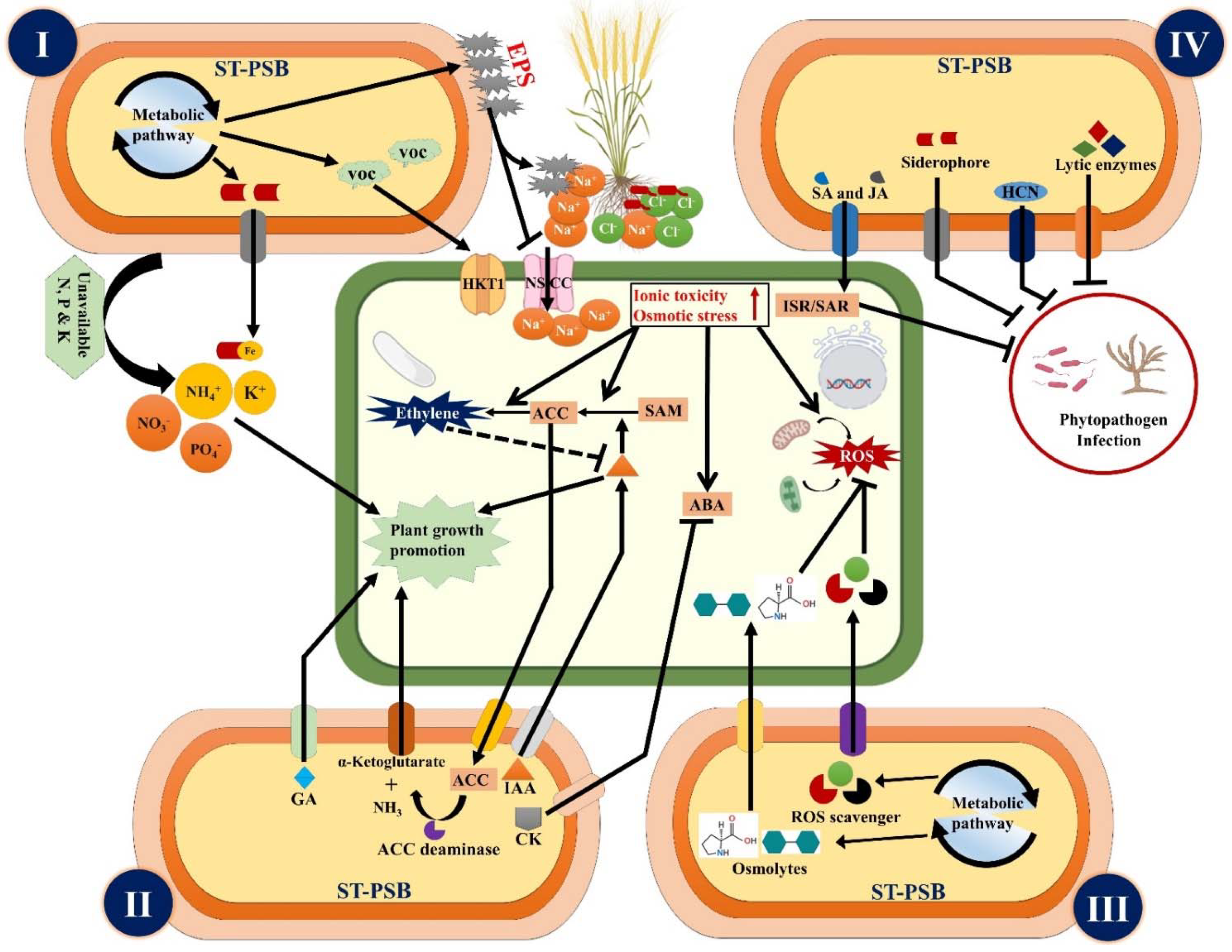 Agronomy 11 01552 g003