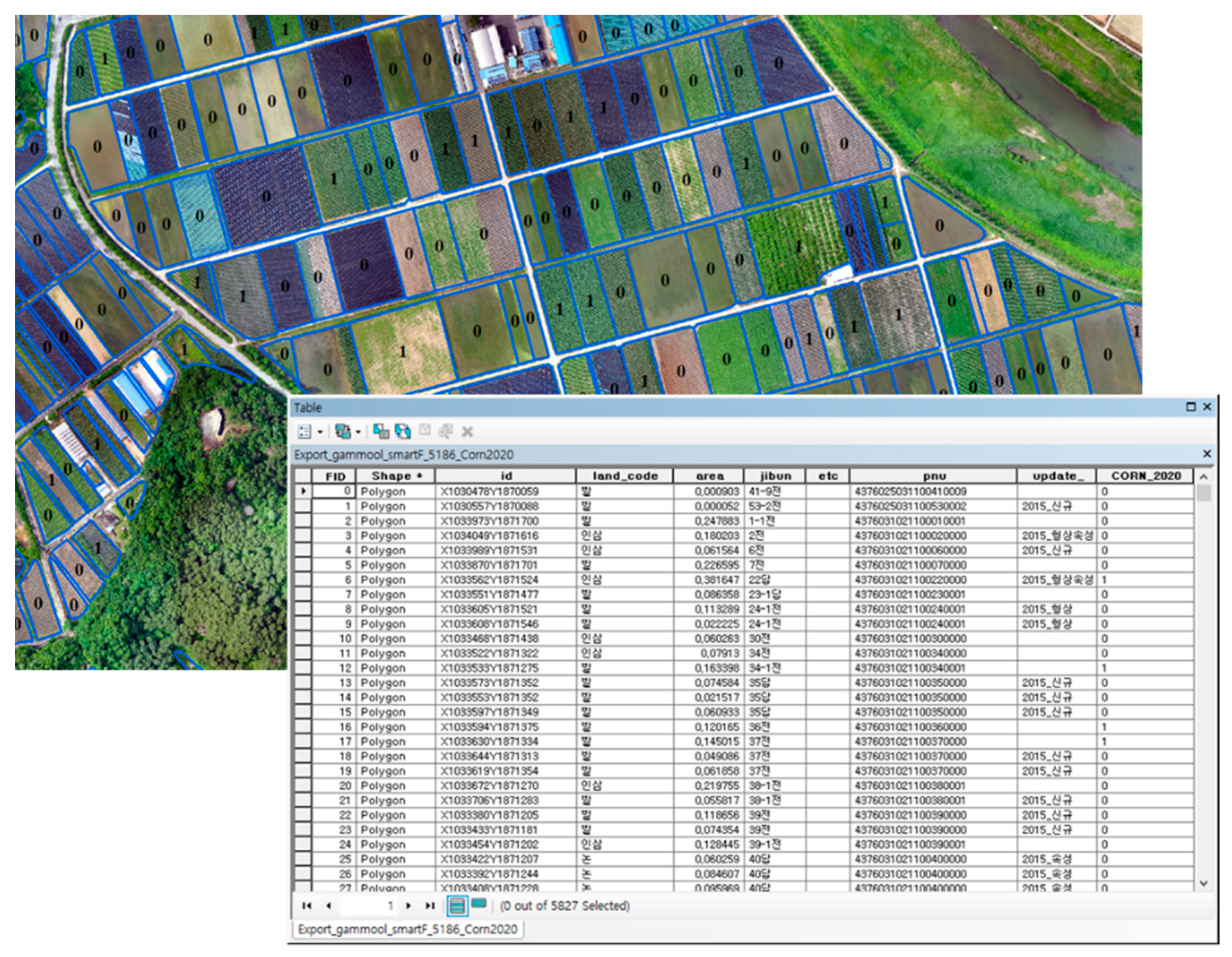 Agronomy 11 01554 g007