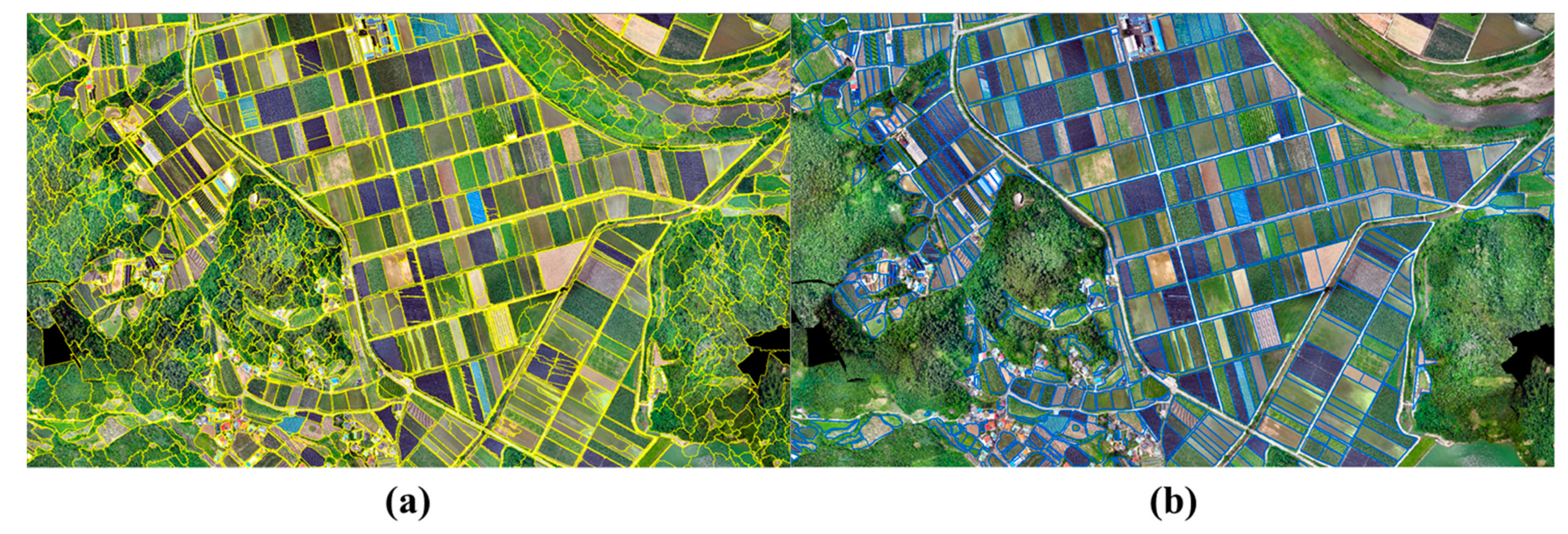 Agronomy 11 01554 g013