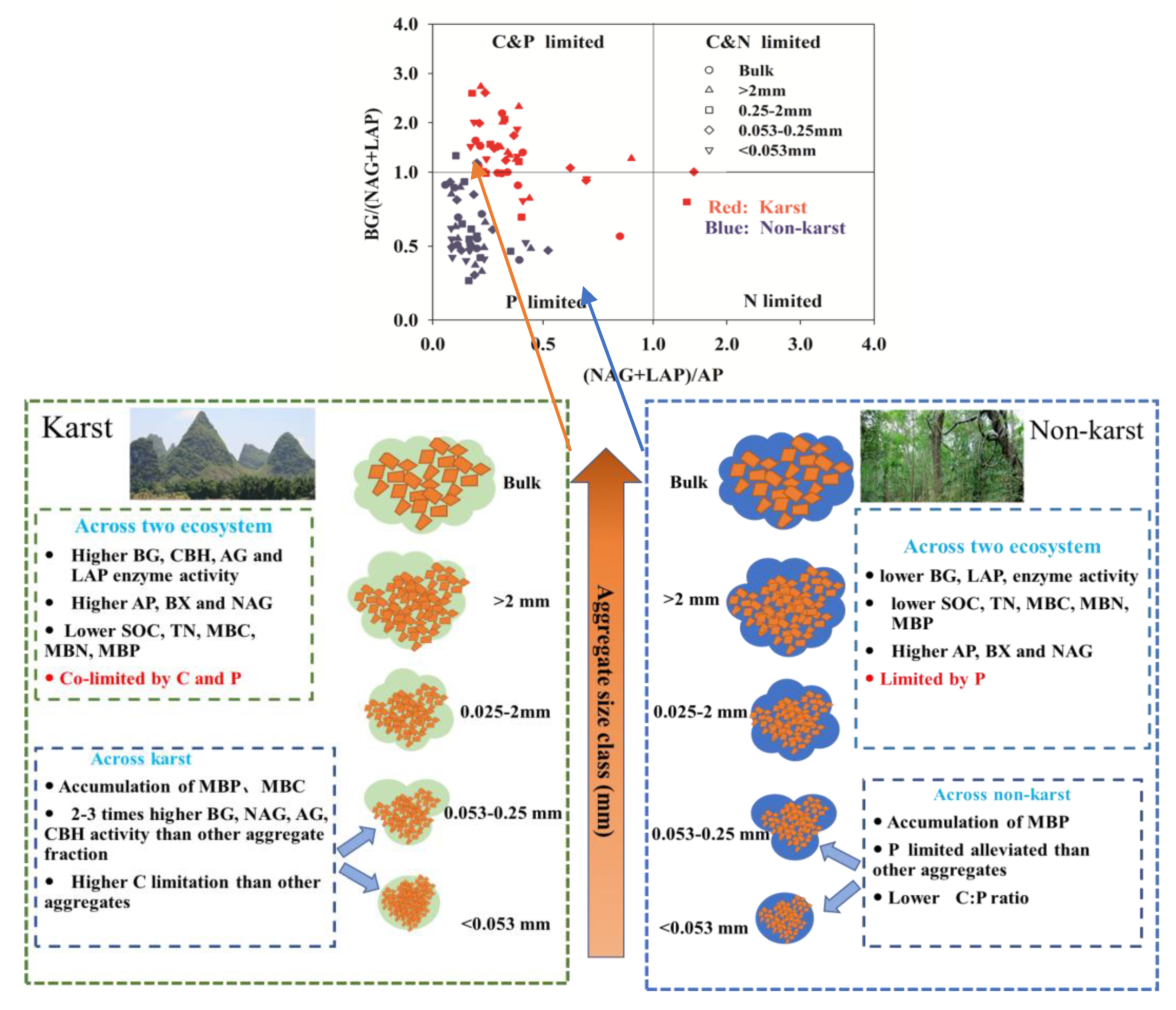 Agronomy 11 01591 g008
