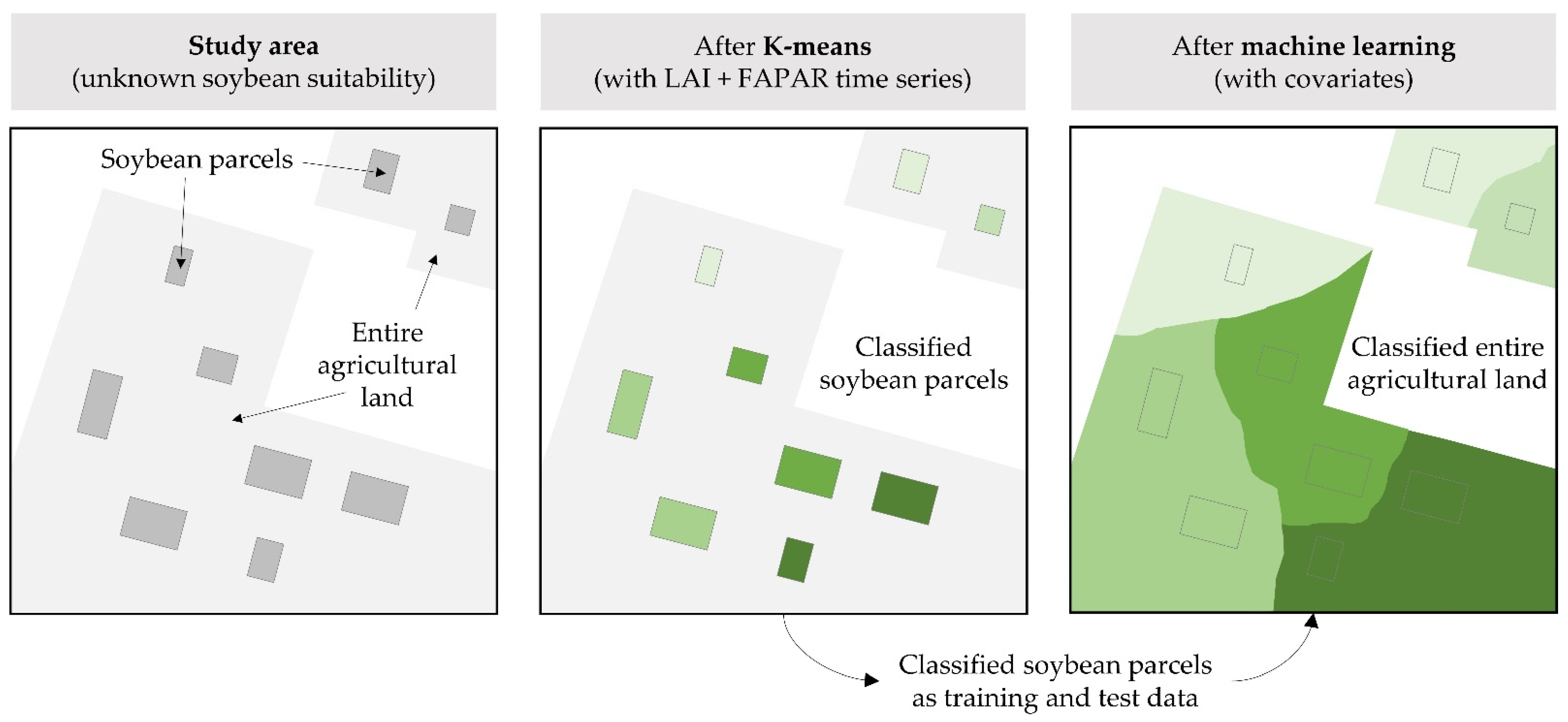 Agronomy 11 01620 g004