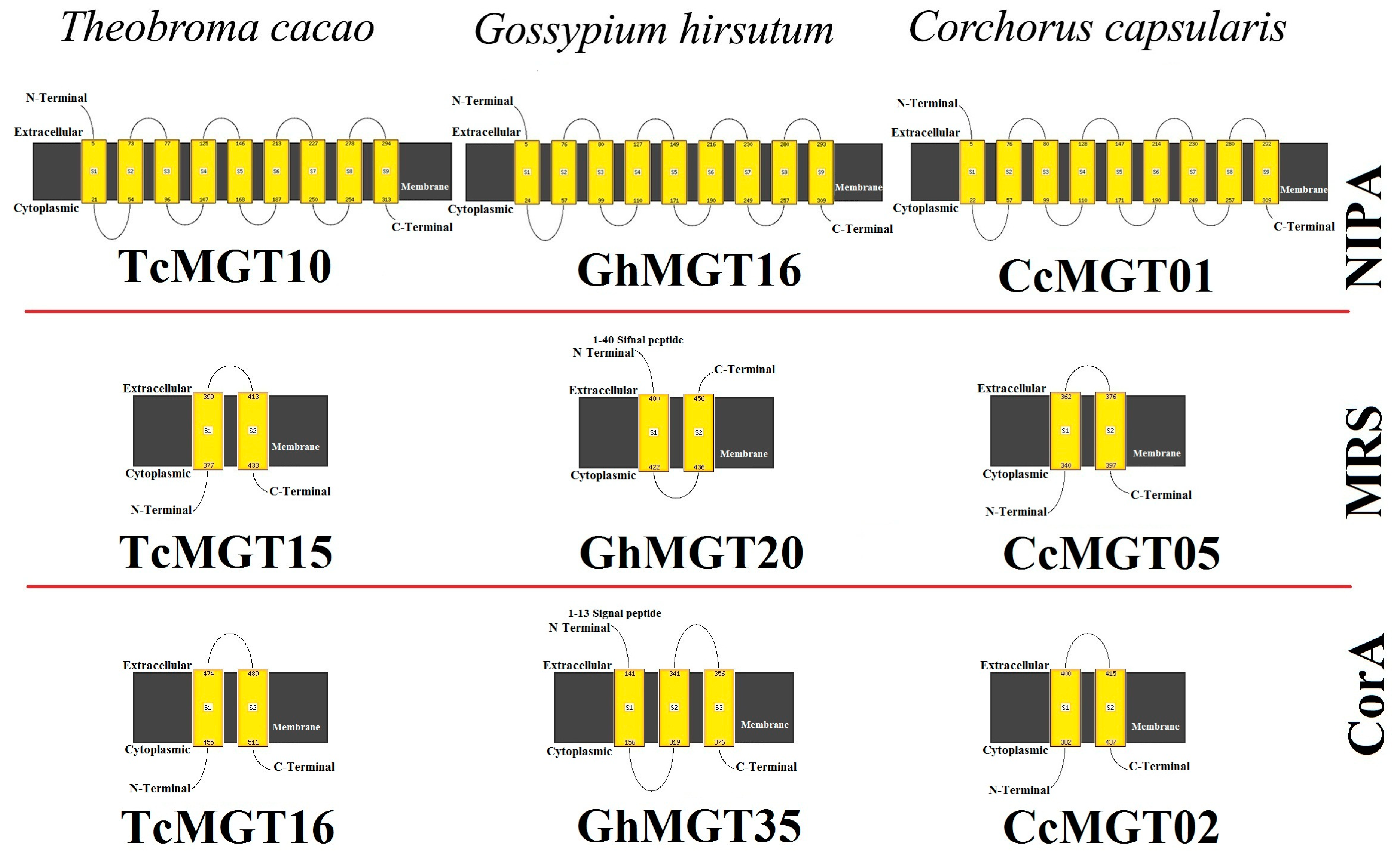 Agronomy 11 01651 g005