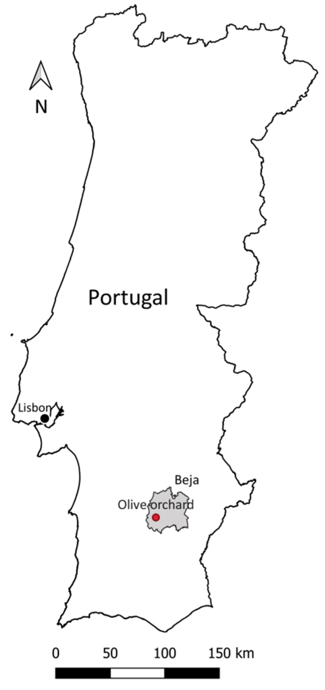 Agronomy 11 01658 g001