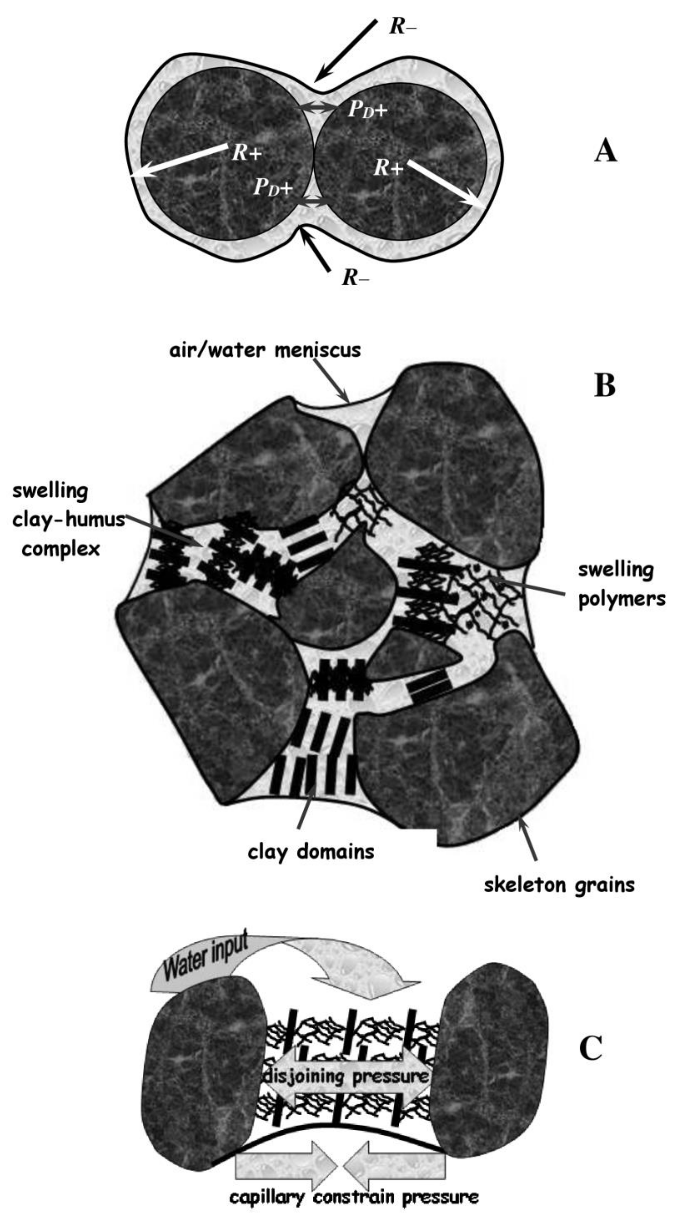 Agronomy 11 01686 g002
