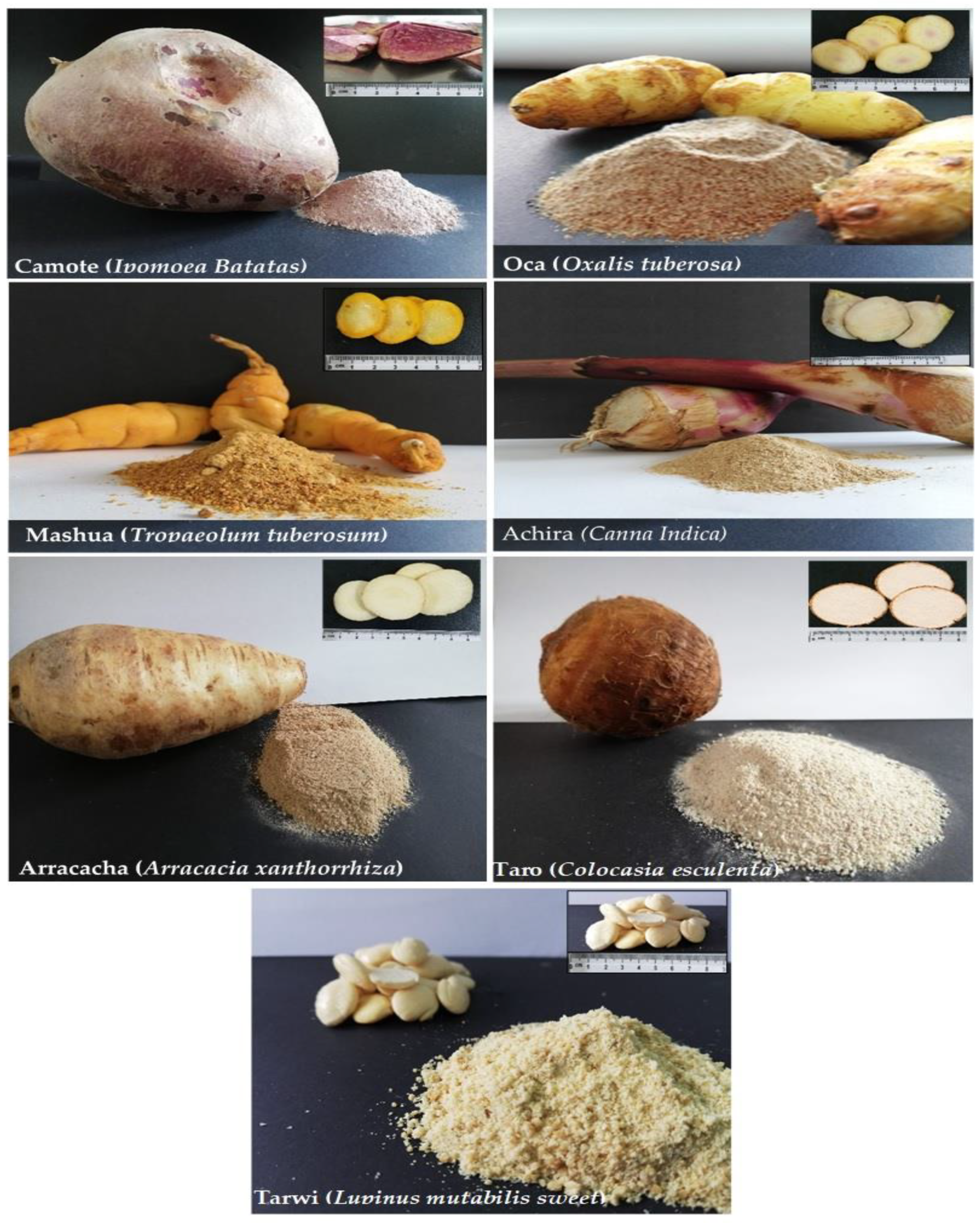 Agronomy 11 01693 g001 Agronomy 11 01693 g001