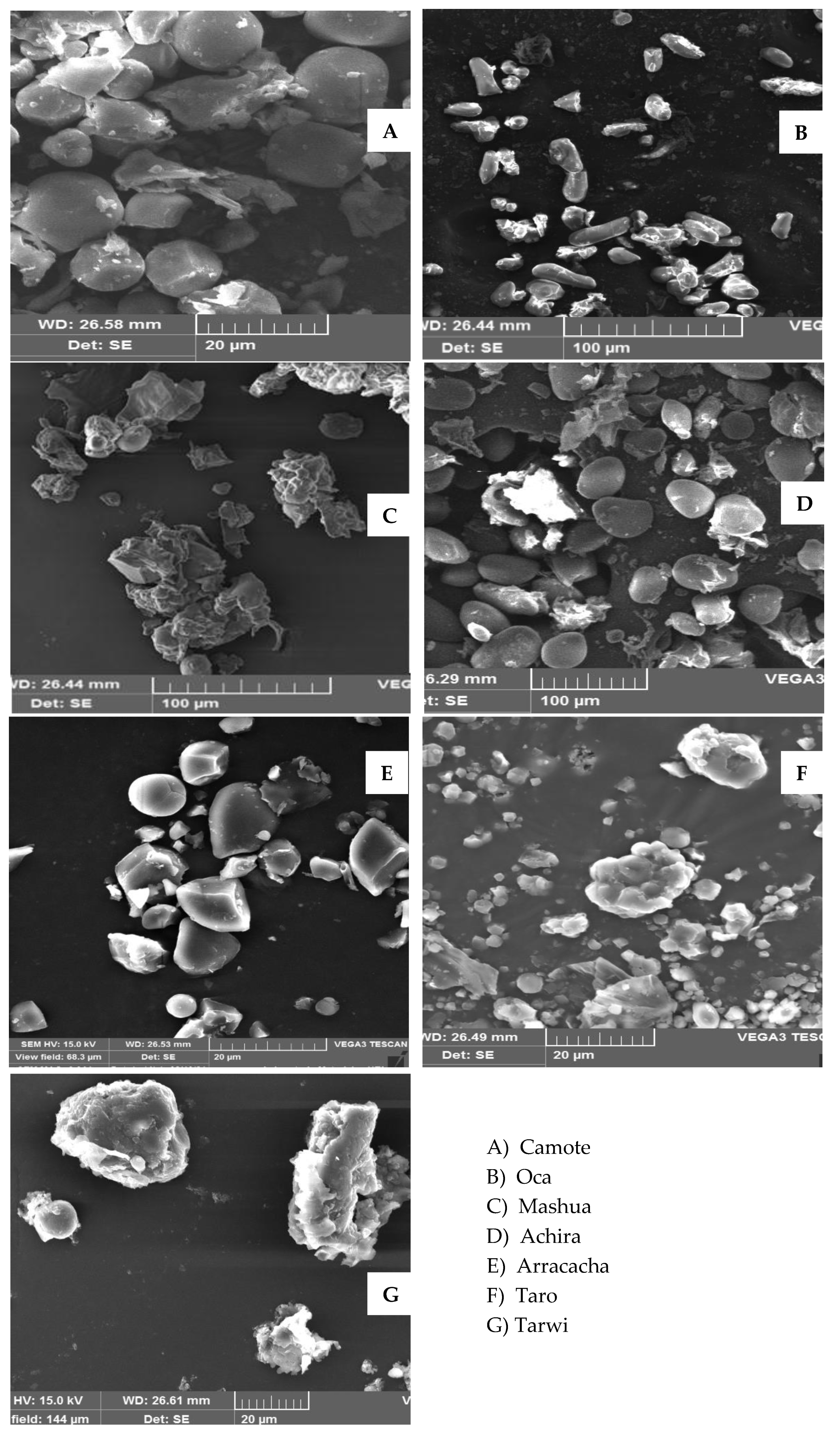 Agronomy 11 01693 g002 Agronomy 11 01693 g002
