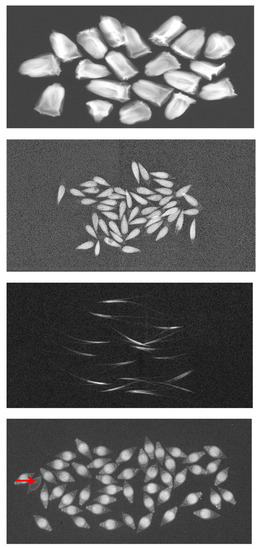 Agronomy 11 01708 g0a1