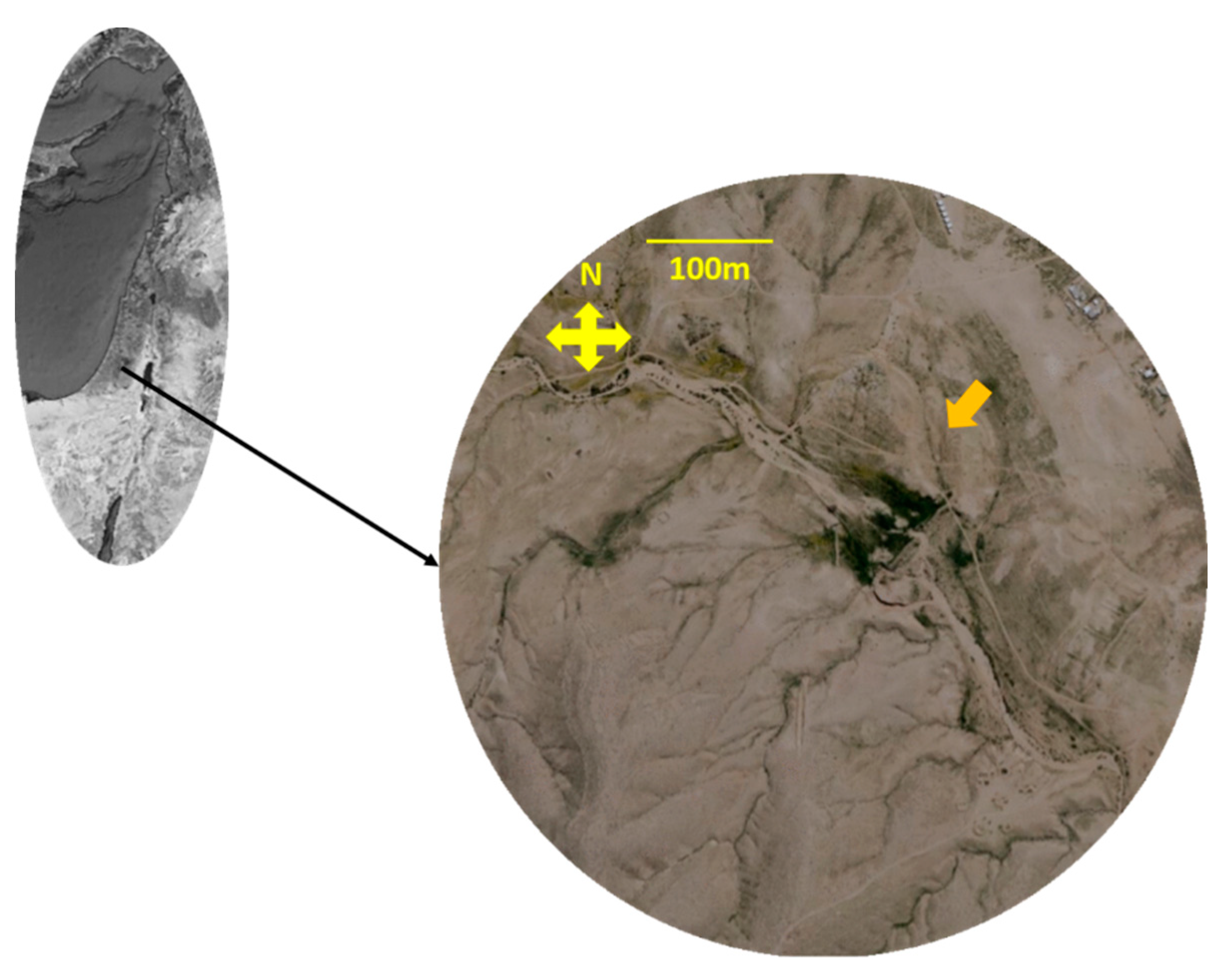 Agronomy 11 01730 g001