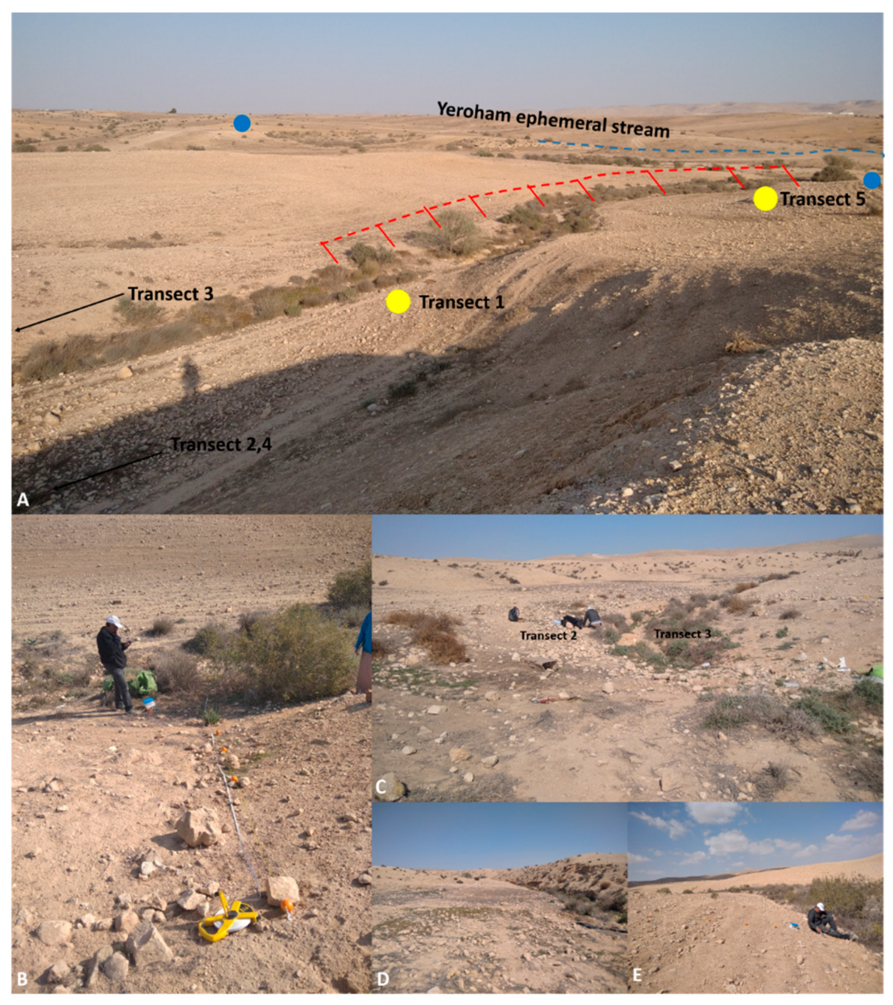 Agronomy 11 01730 g002