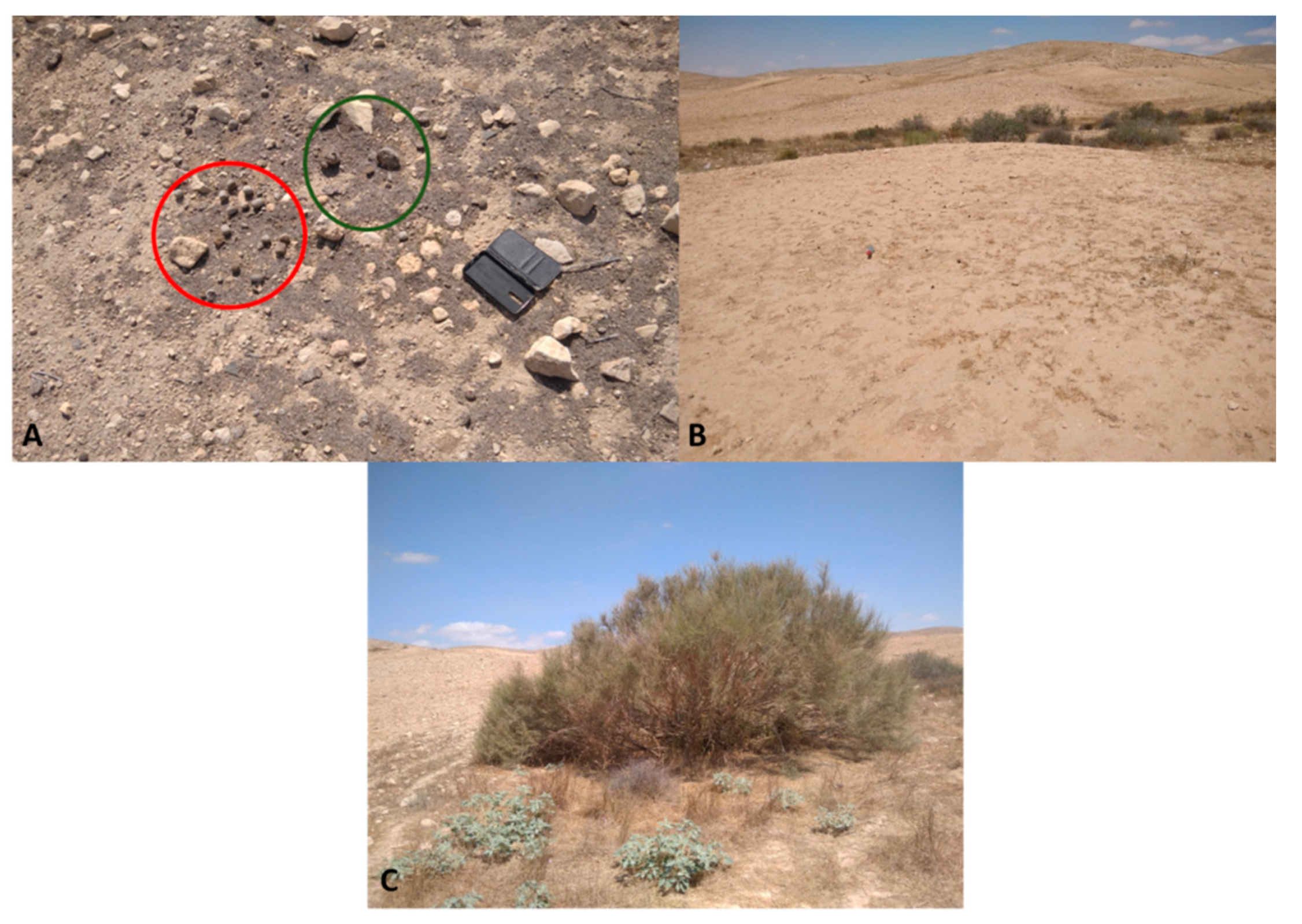 Agronomy 11 01730 g004