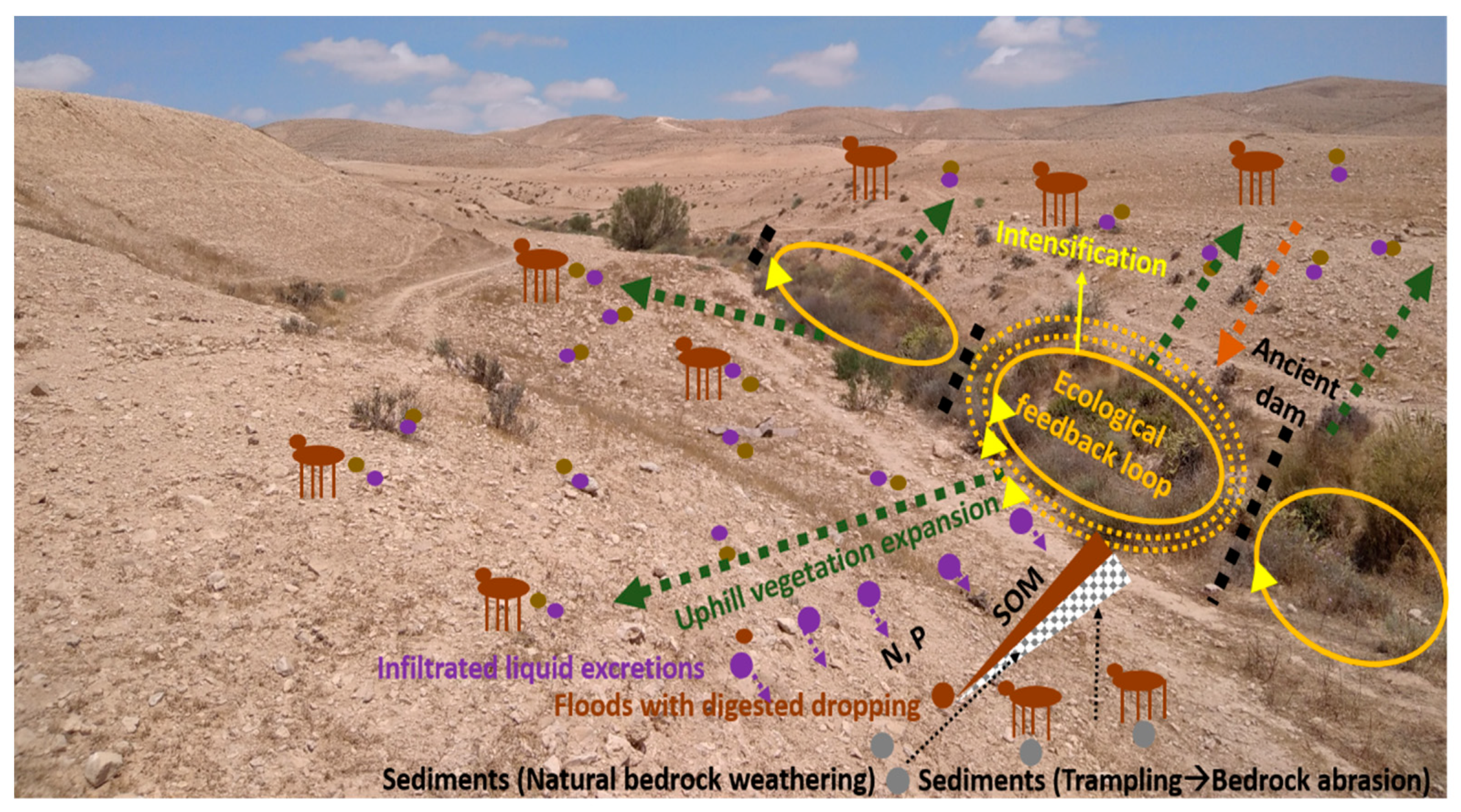 Agronomy 11 01730 g009