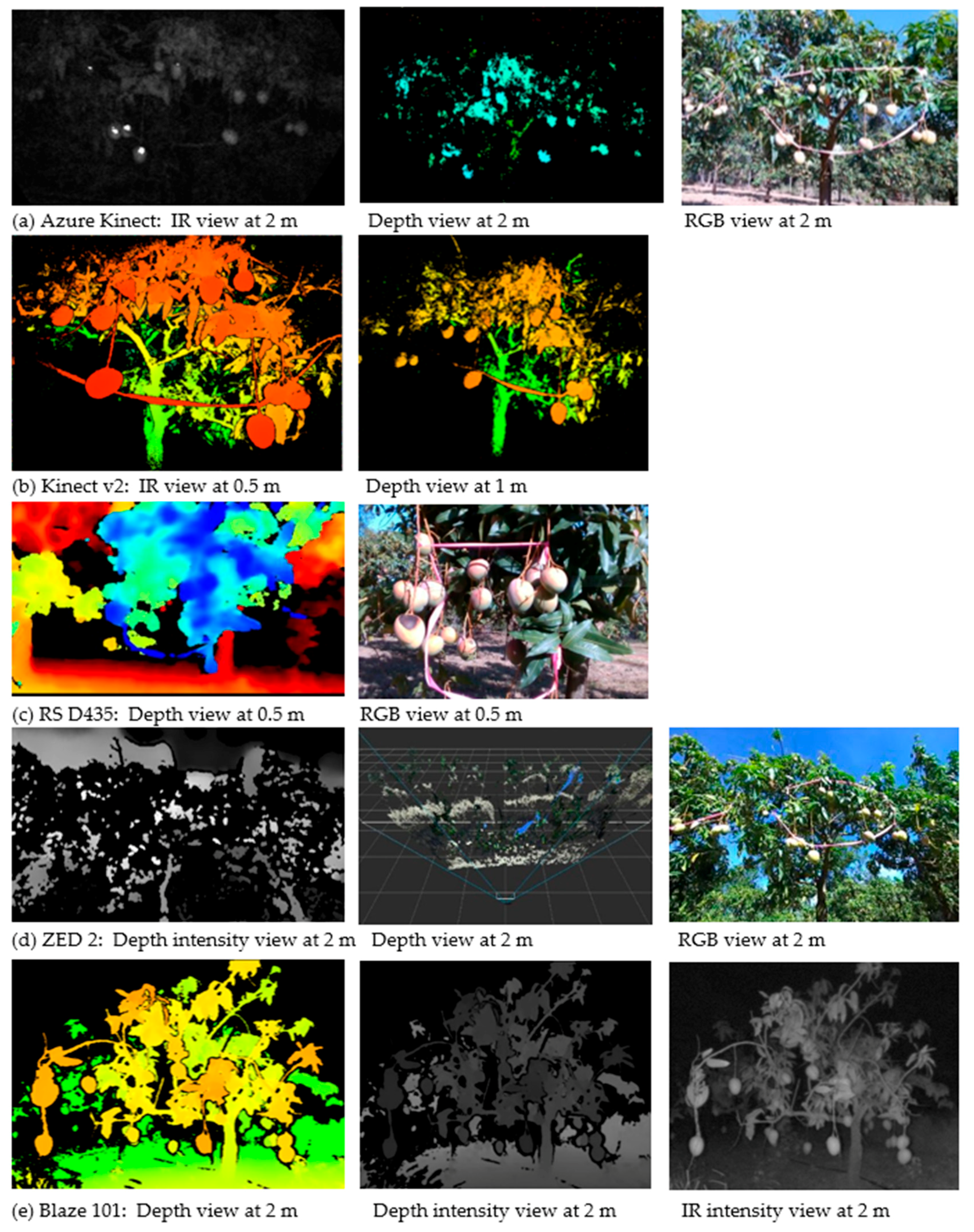 Agronomy 11 01780 g002