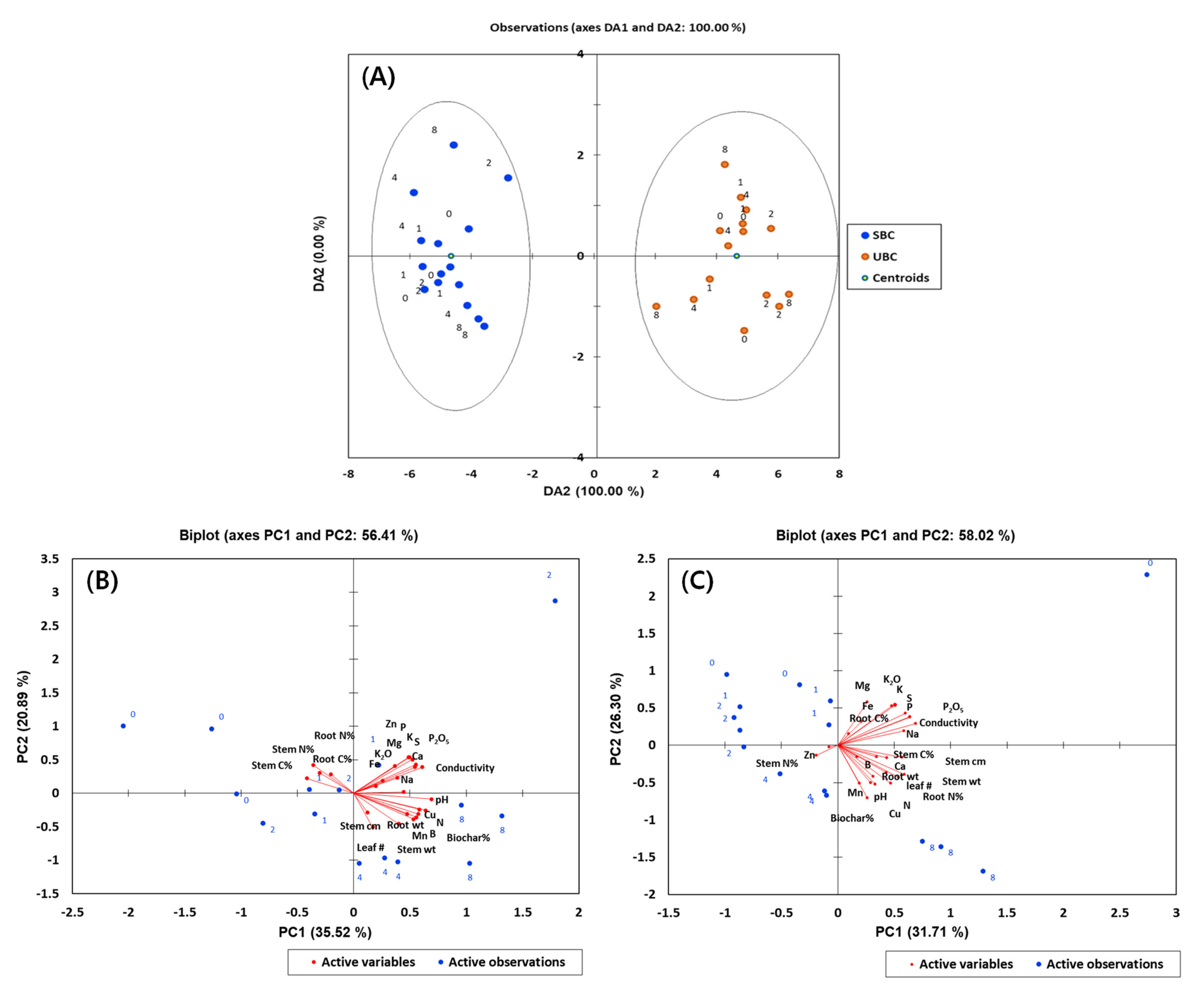 Agronomy 11 01794 g001