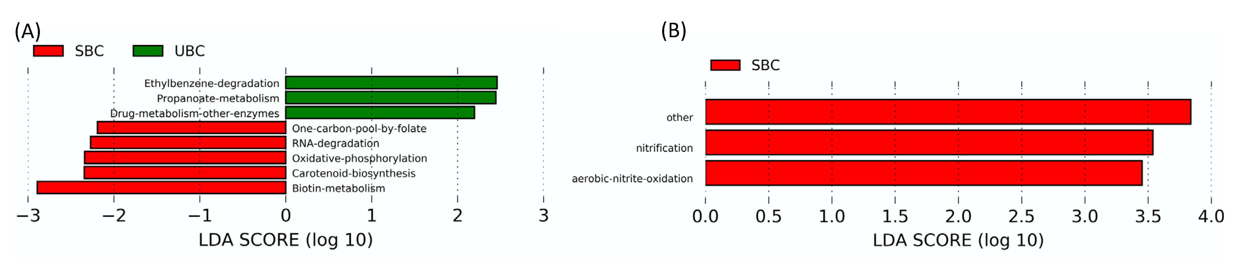 Agronomy 11 01794 g006