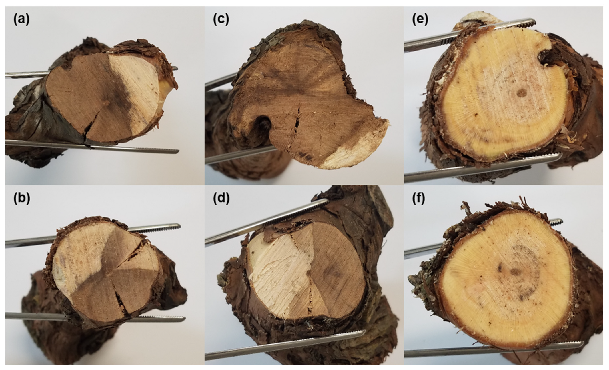Agronomy 11 01811 g004