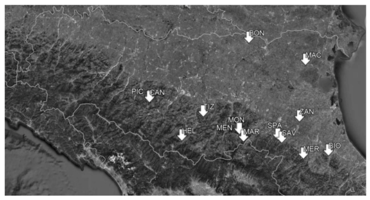 Agronomy 11 01815 g001