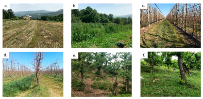 Agronomy 11 01815 g002