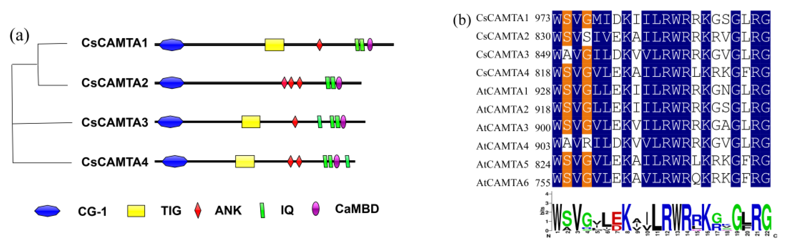 Agronomy 11 01827 g002