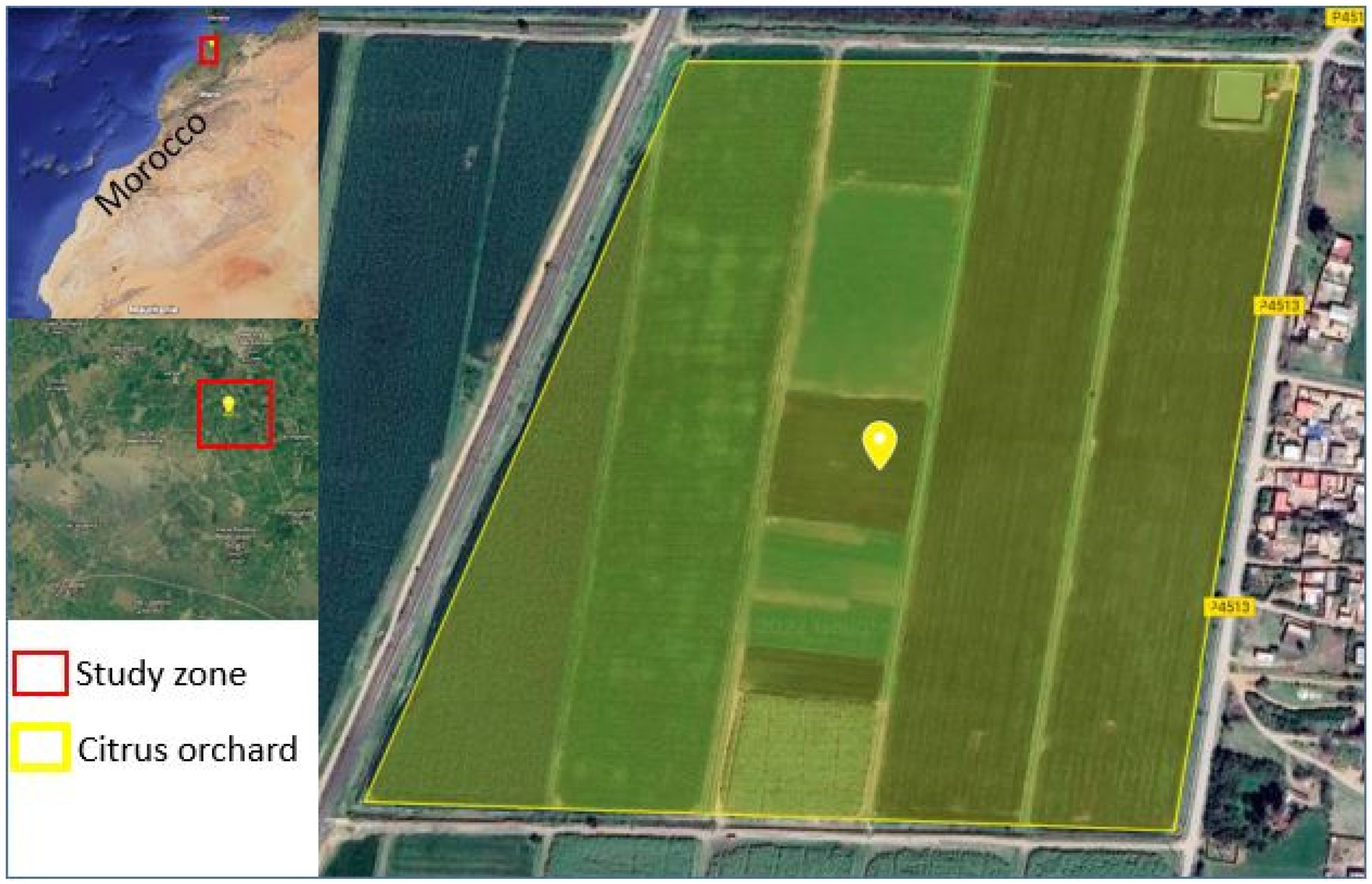 Agronomy 11 01840 g001